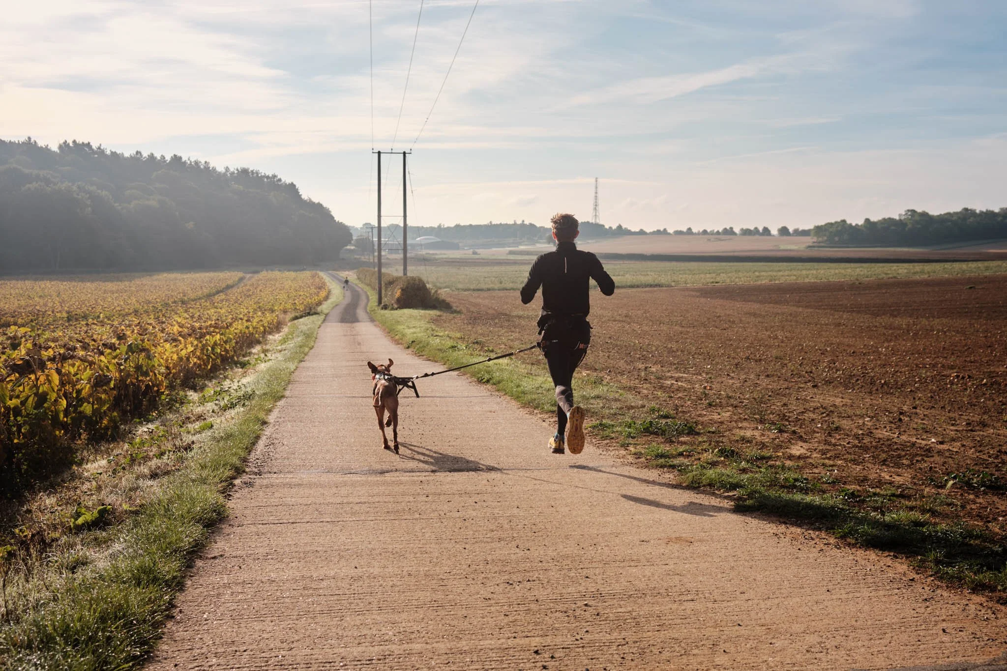 DIGITAL_PHOTOGRAPHY_ENGLAND_JOGGING_WITH_DOG.jpg