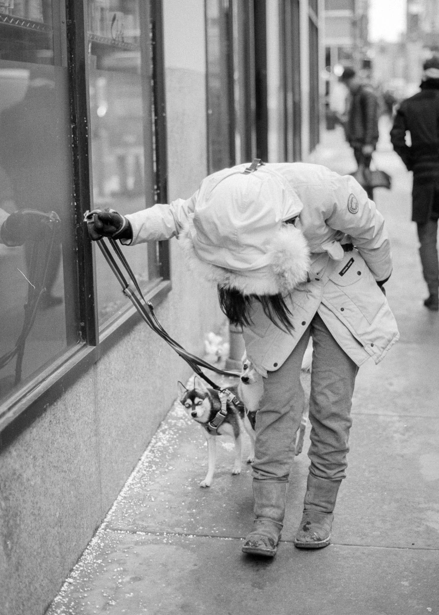 FILM_PHOTOGRAPHY_NYC_STREET_BOWING_WITH_DOG.jpg