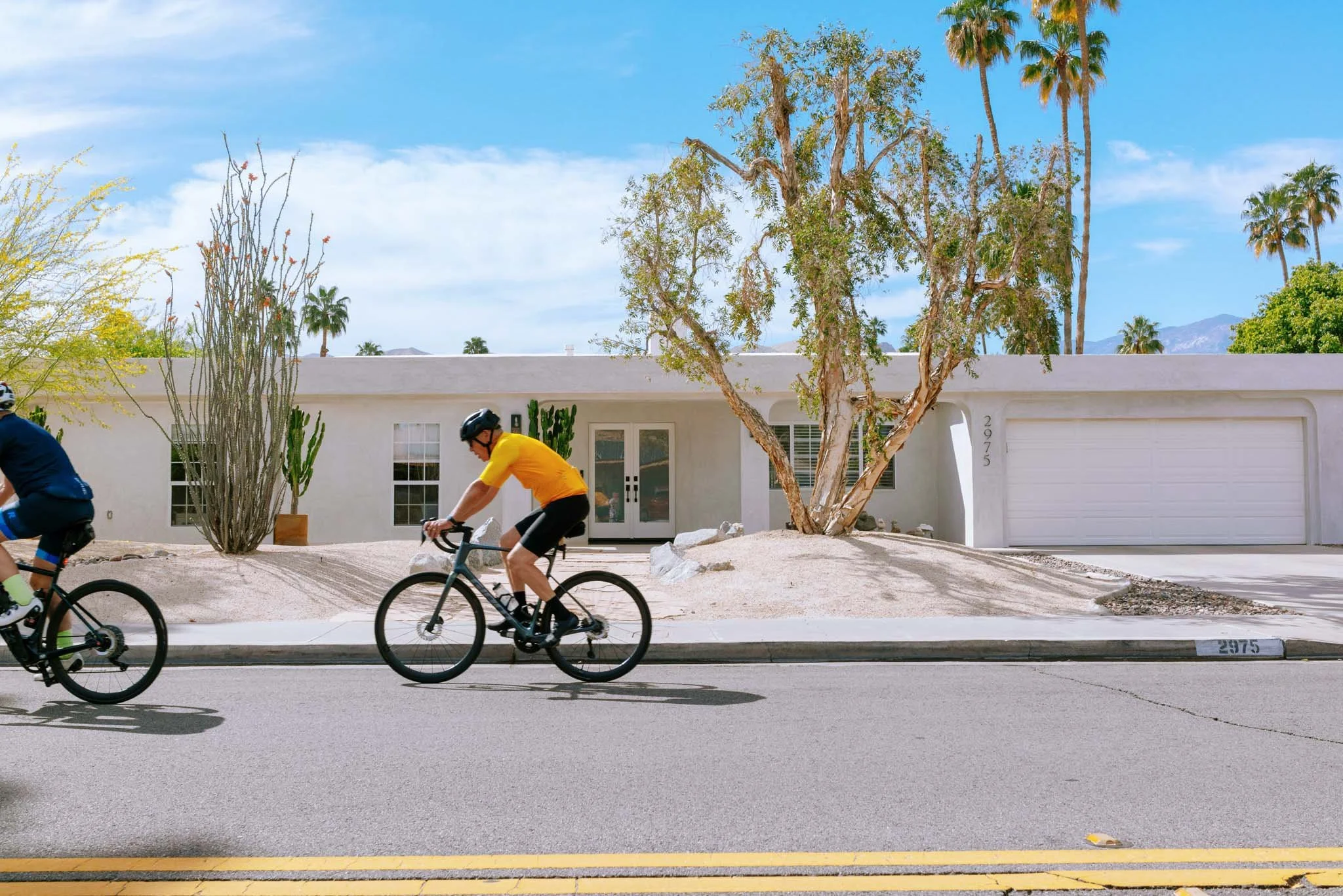 PALM_SPRINGS_BIKES_YELLOW_LINES.jpg