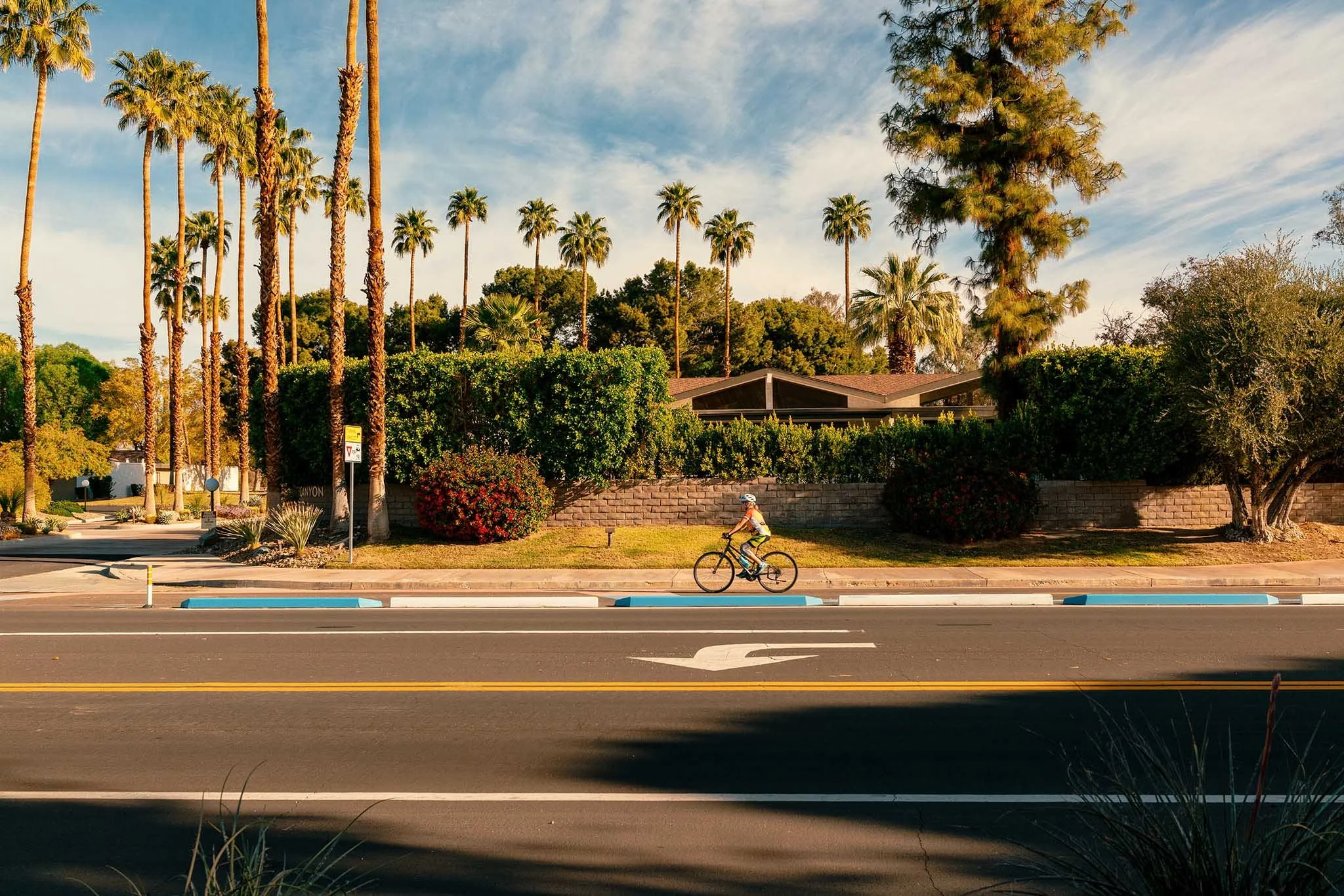 PALM_SPRINGS_BIKE_ARROW.jpg