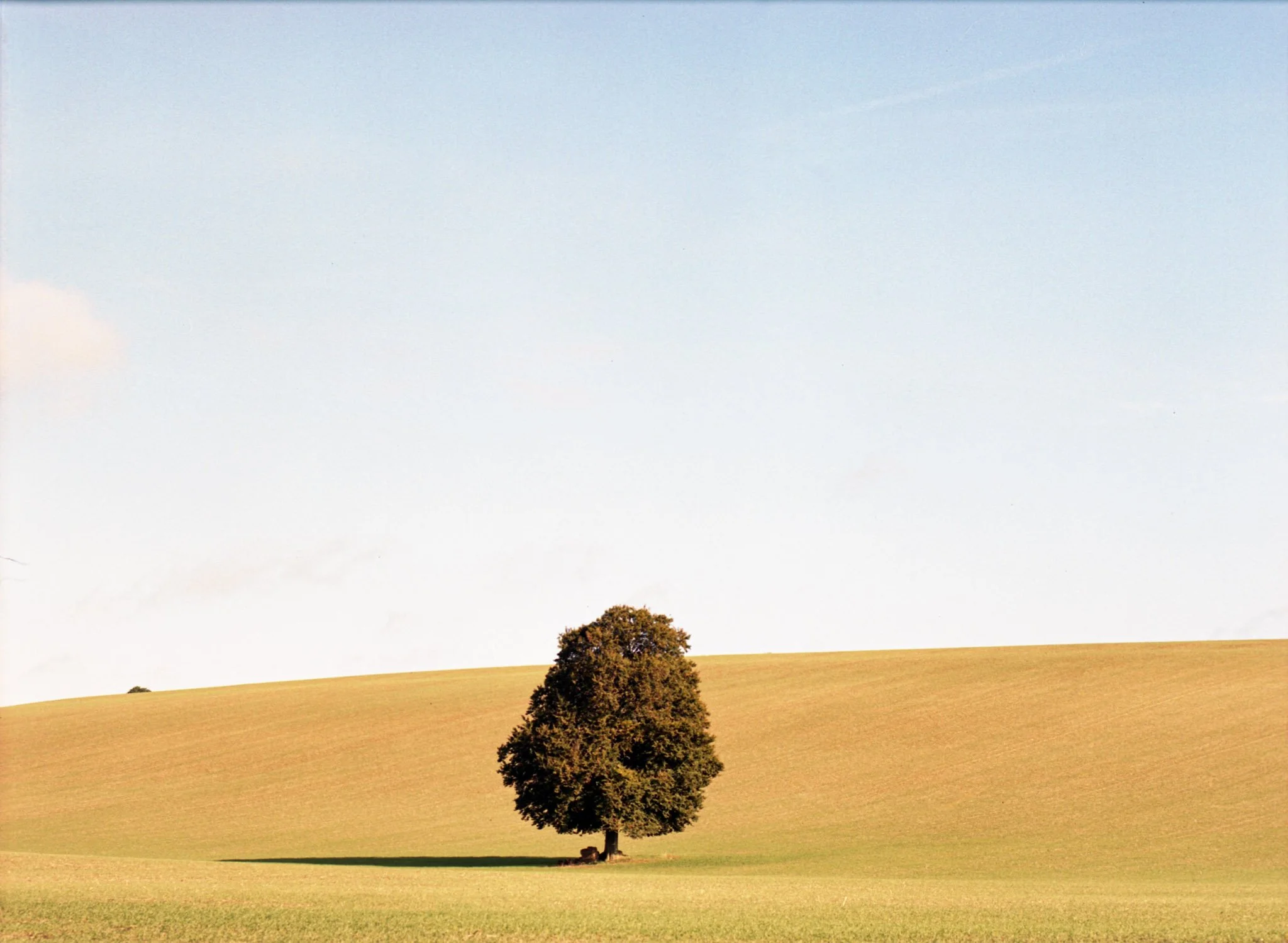 FILM_PHOTOGRAPHY_ENGLAND