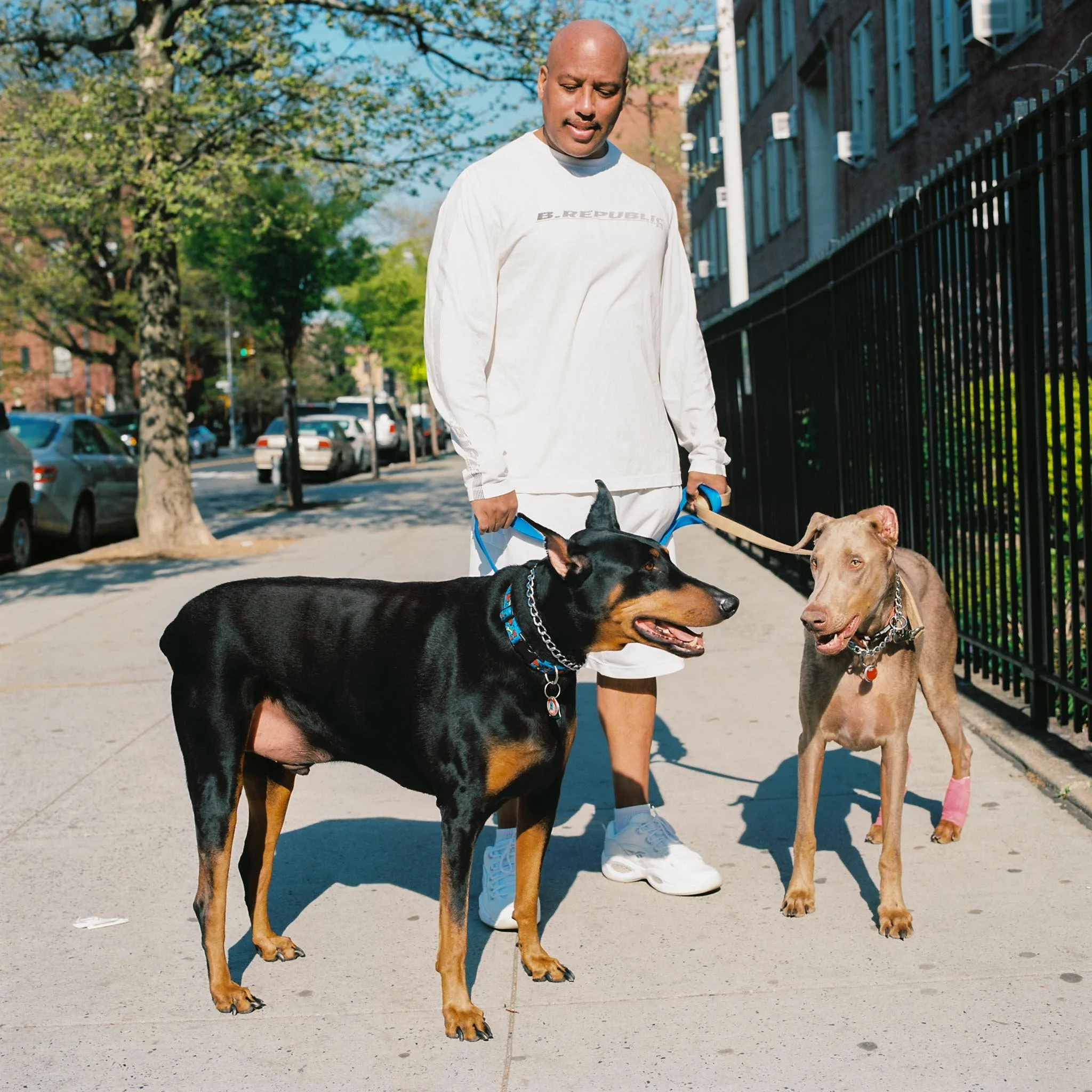 FILM_PHOTOGRAPHY_PORTRAIT_GUY_WITH_TWO_DOGS.jpg