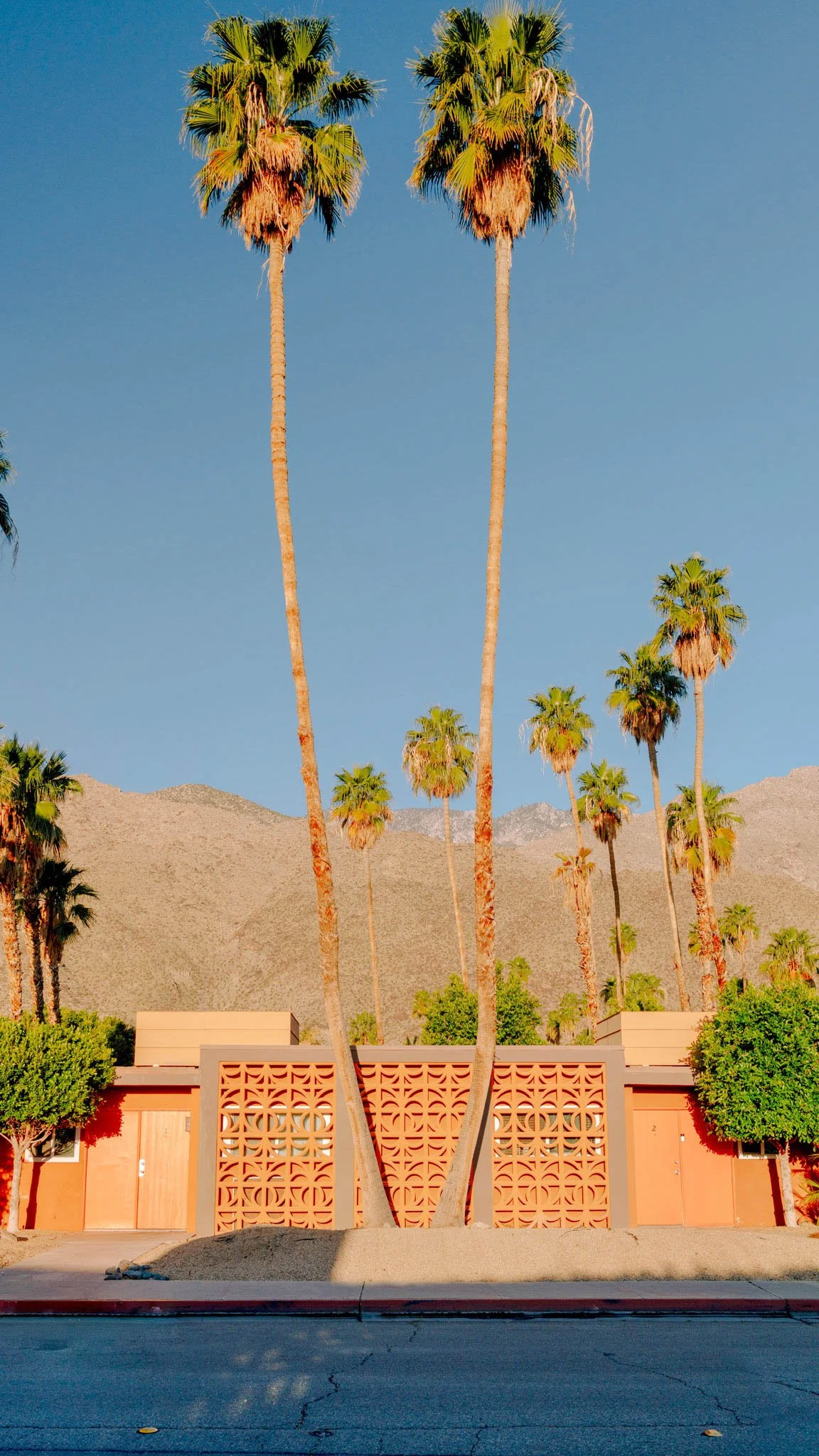 PALM_SPRINGS_ORANGE_GRATE_TREES_PANO.jpg