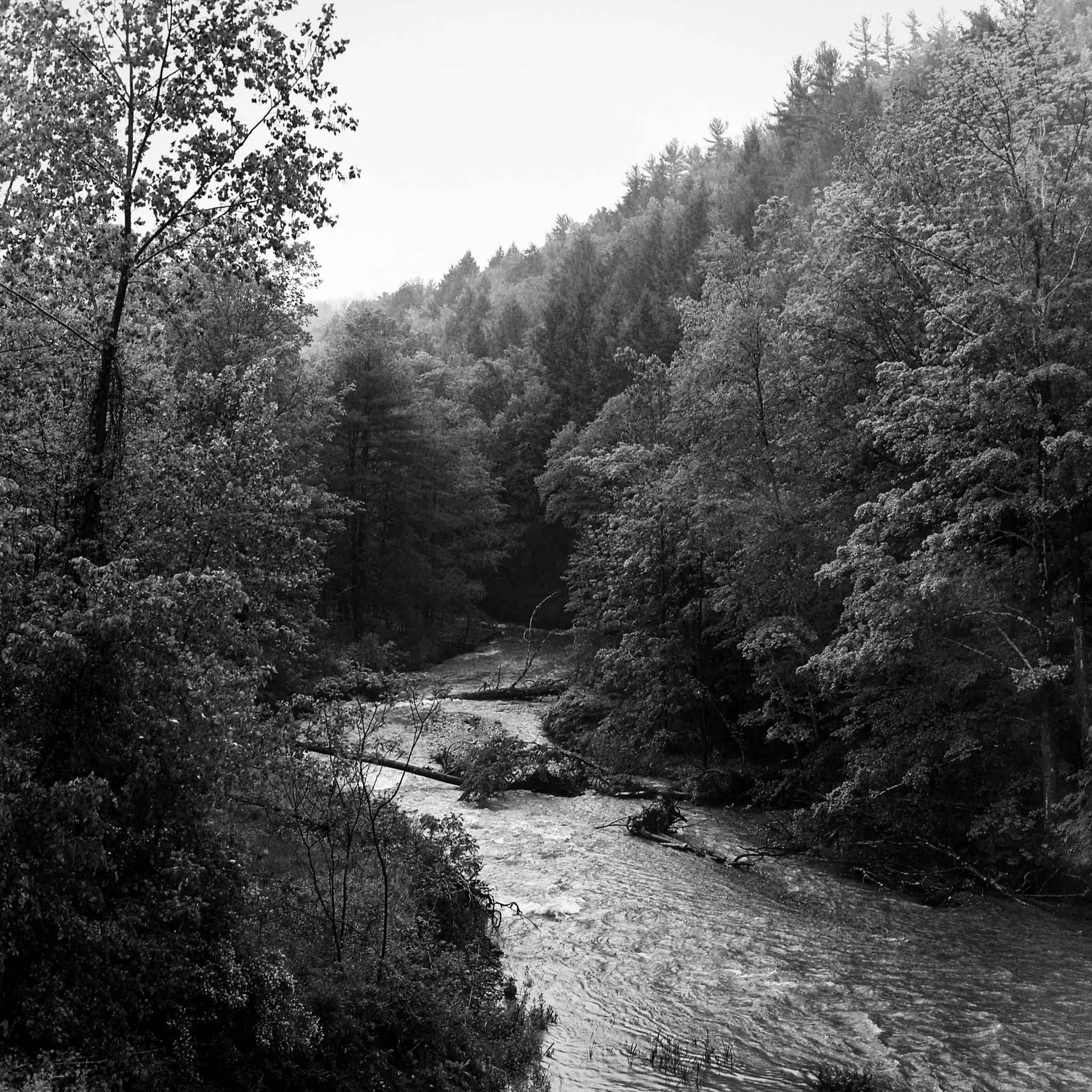 FILM_PHOTOGRAPHY_UPSTATE_RIVER_TREES_BLACK_WHITE.jpg