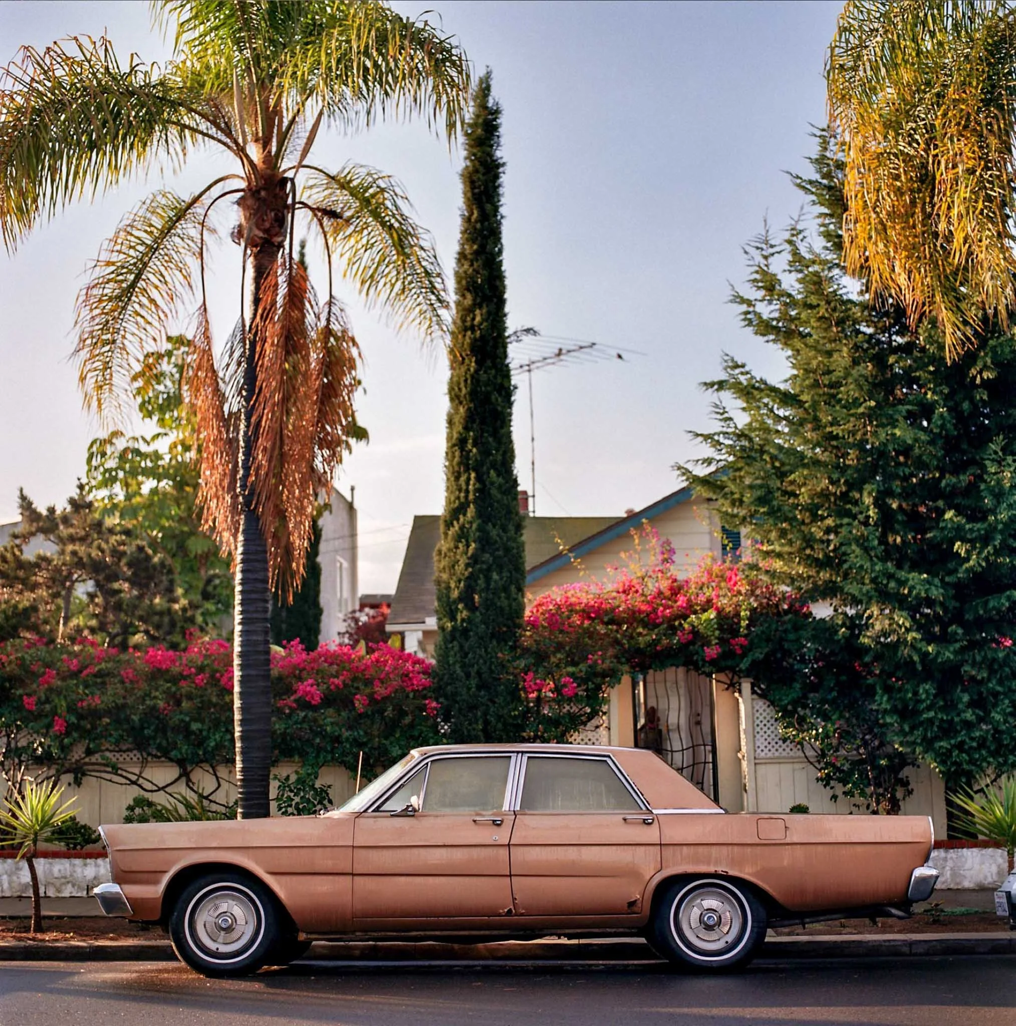 CALIFORNIA_FILM_PHOTOGRAPHY_VINTAGE_CARS_FLORAL_SAN_DIEGO.jpg