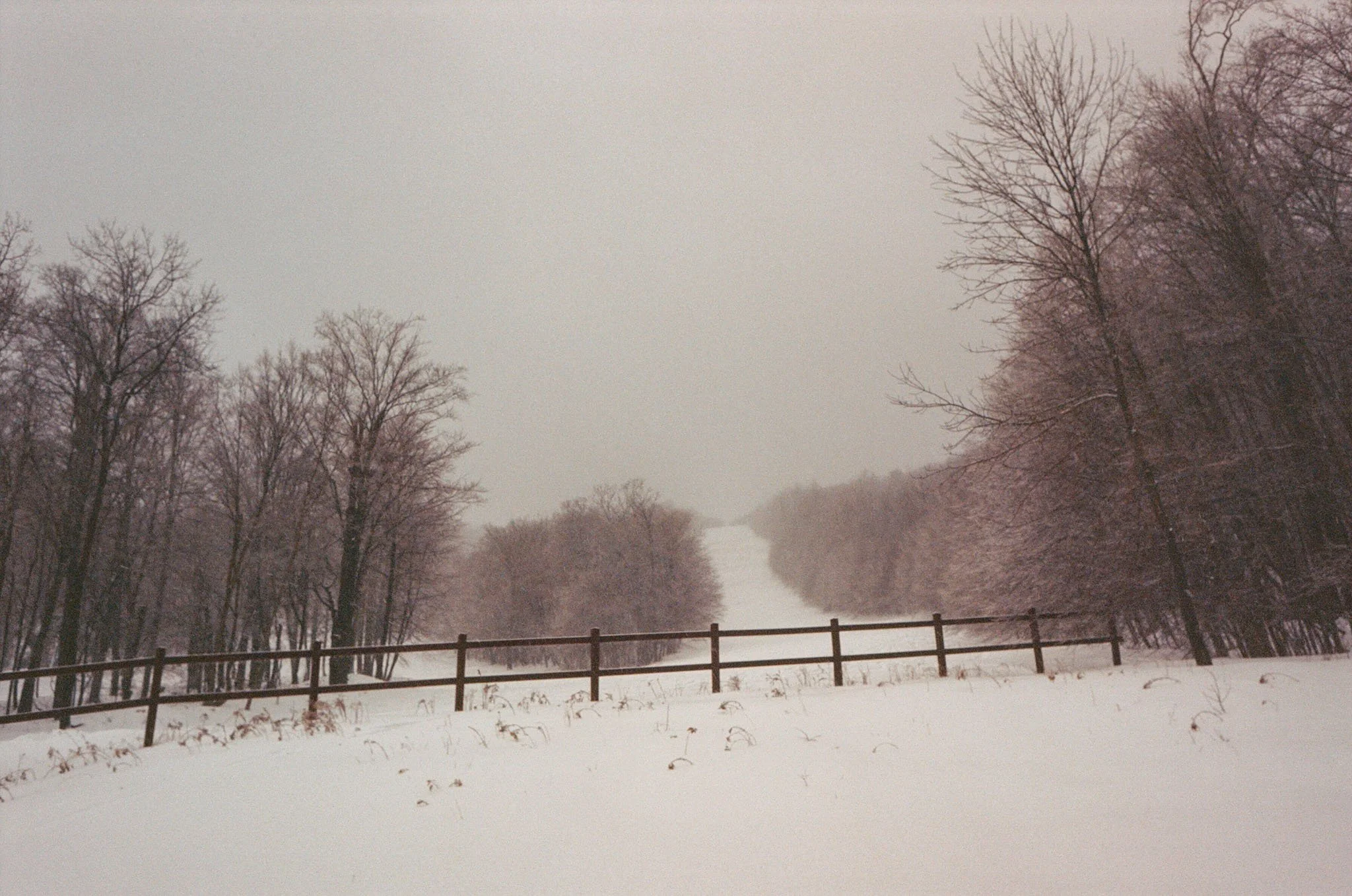 NEW_YORK_FILM_PHOTOGRAPHY_CATSKILLS_PLATTEKILL_SKI_HILL.JPG