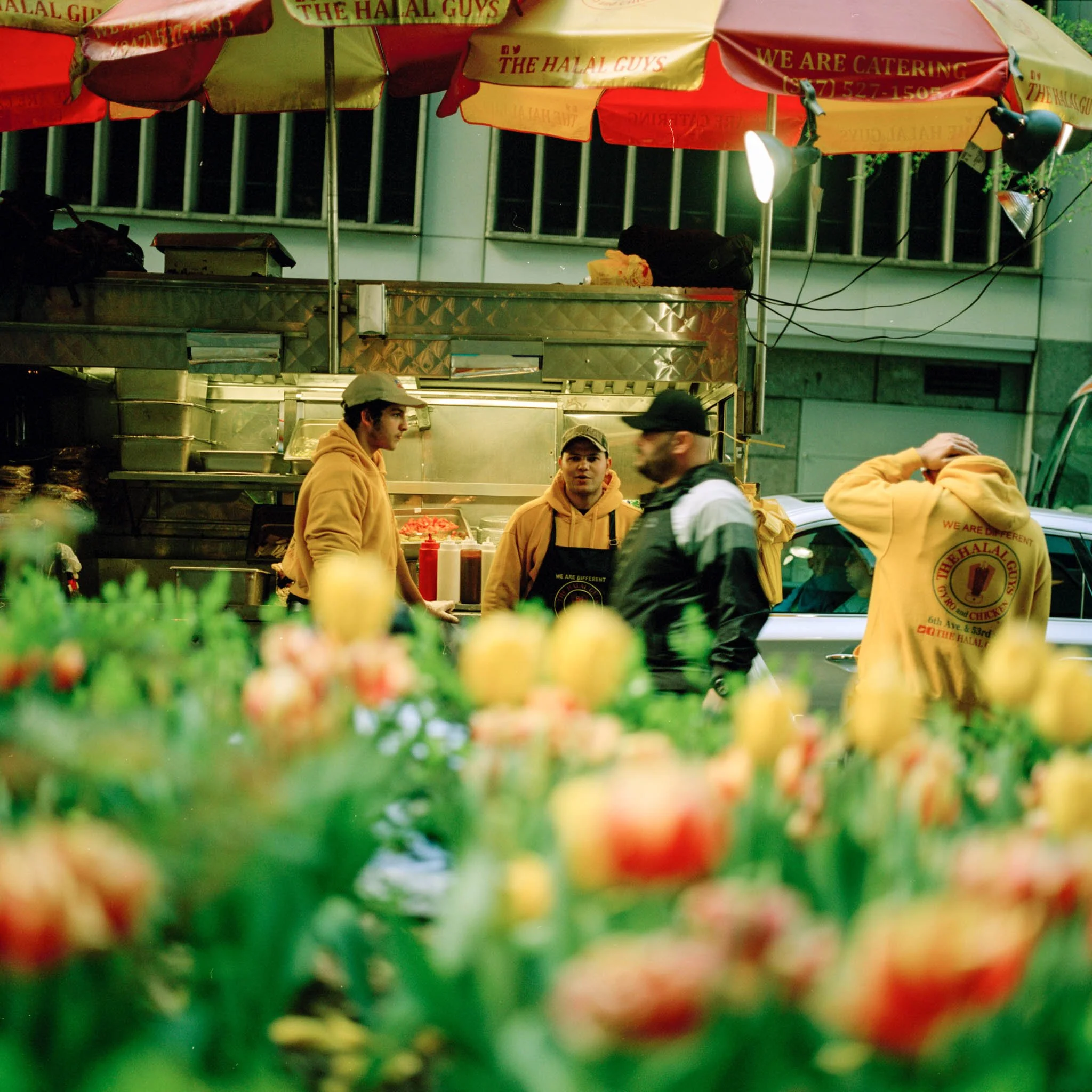 FILM_PHOTOGRAPHY_HALAL_AND_TULIPS.jpg