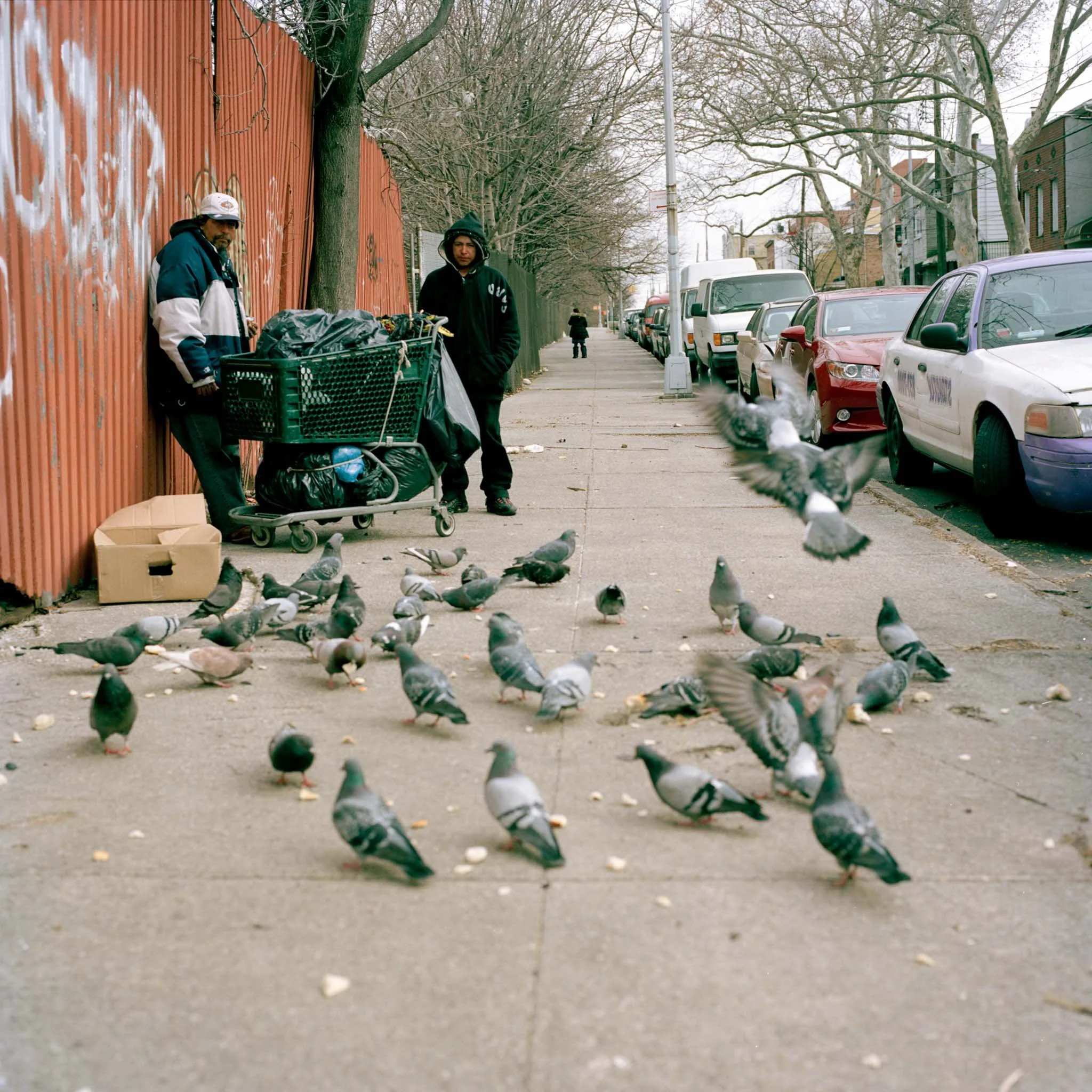 NEW_YORK_FILM_PHOTOGRAPHY_PIGEONS_GUYS_BOROUGH_PARK.jpg