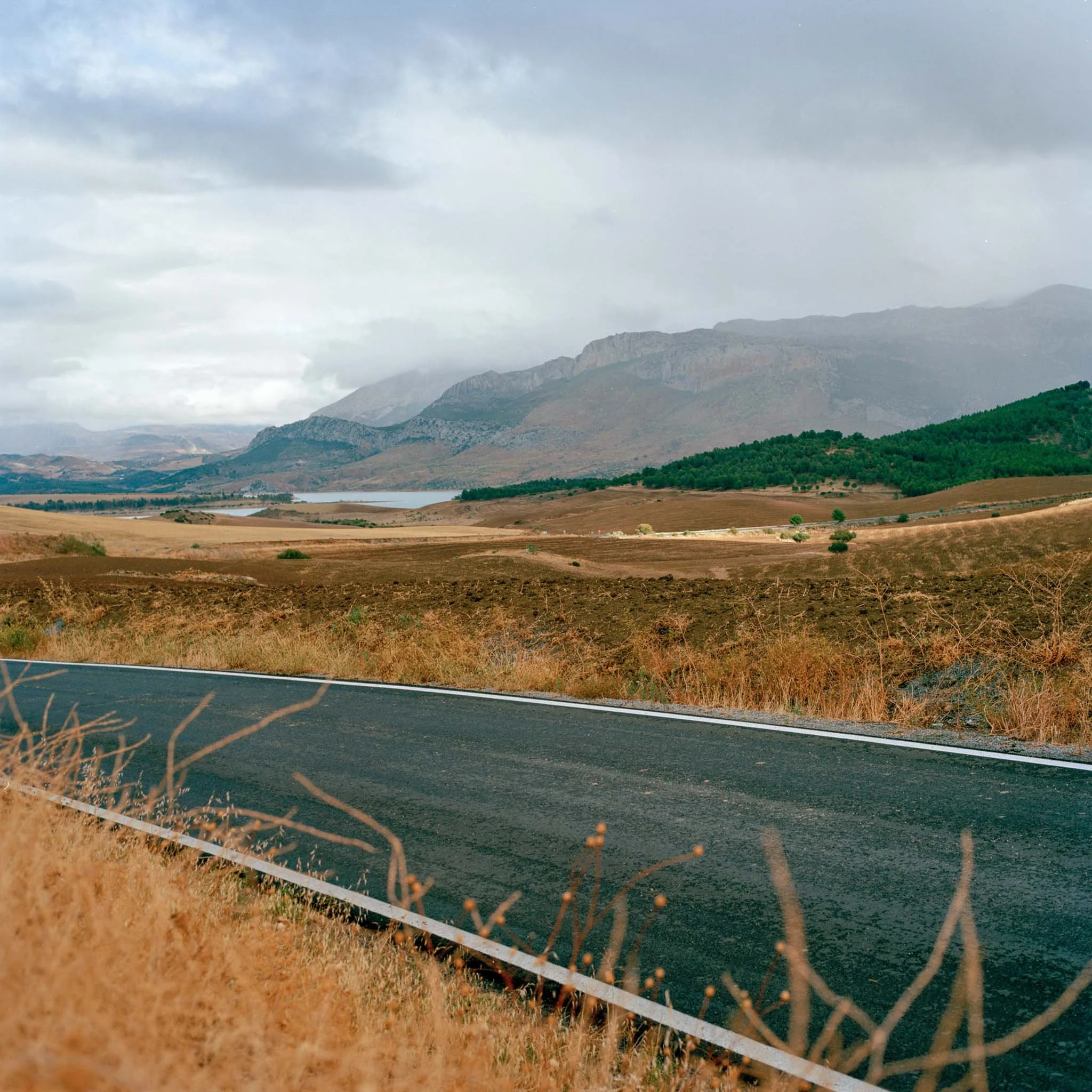 FILM_PHOTOGRAPHY_SPAIN_LANDSCAPE.jpg
