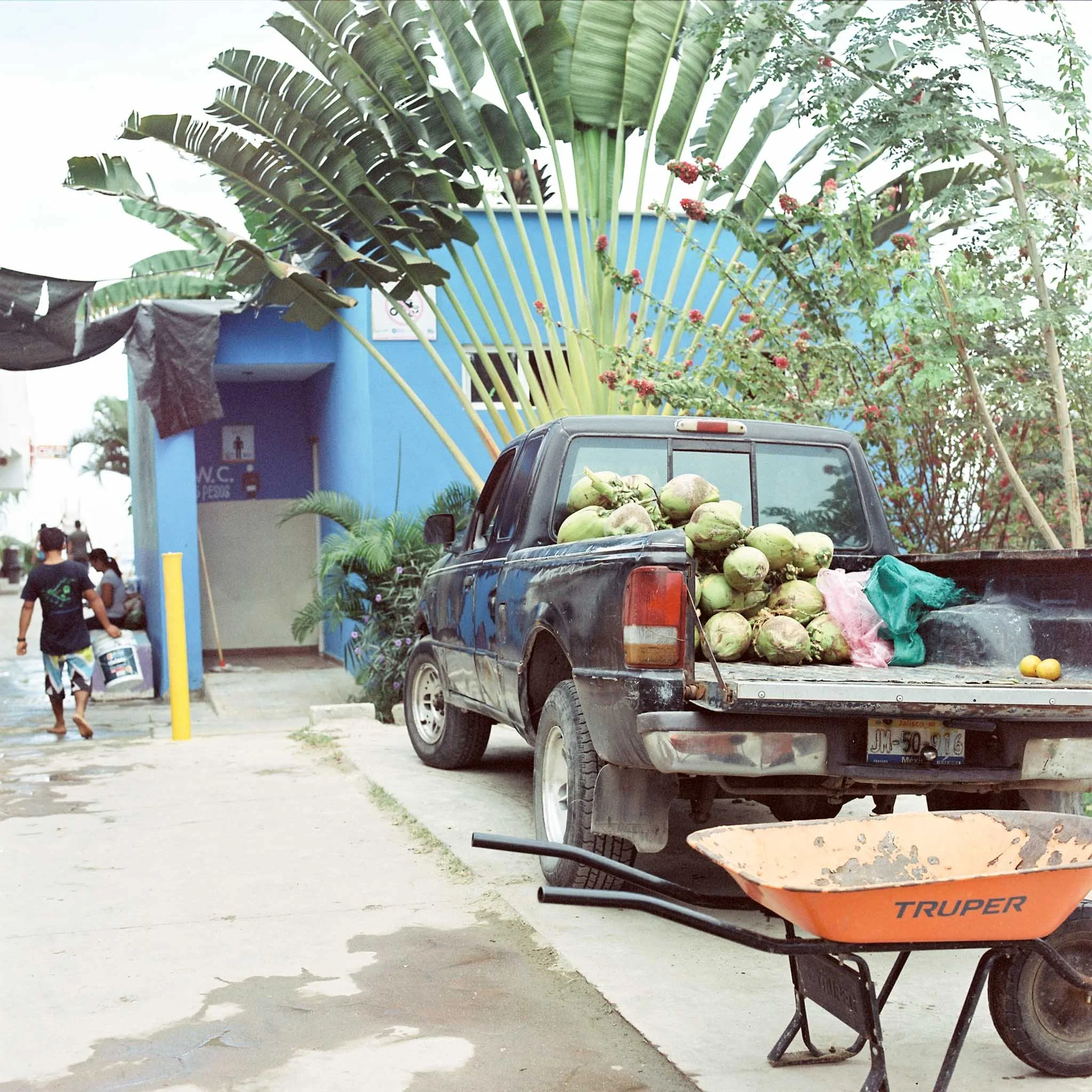FILM_PHOTOGRAPHY_MEXICO_COCONUTS.jpg