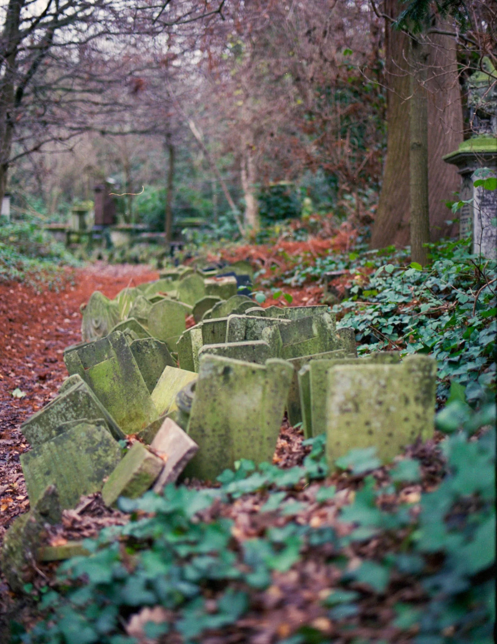 FILM_PHOTOGRAPHY__LONDON_GRAVESTONES_.jpg