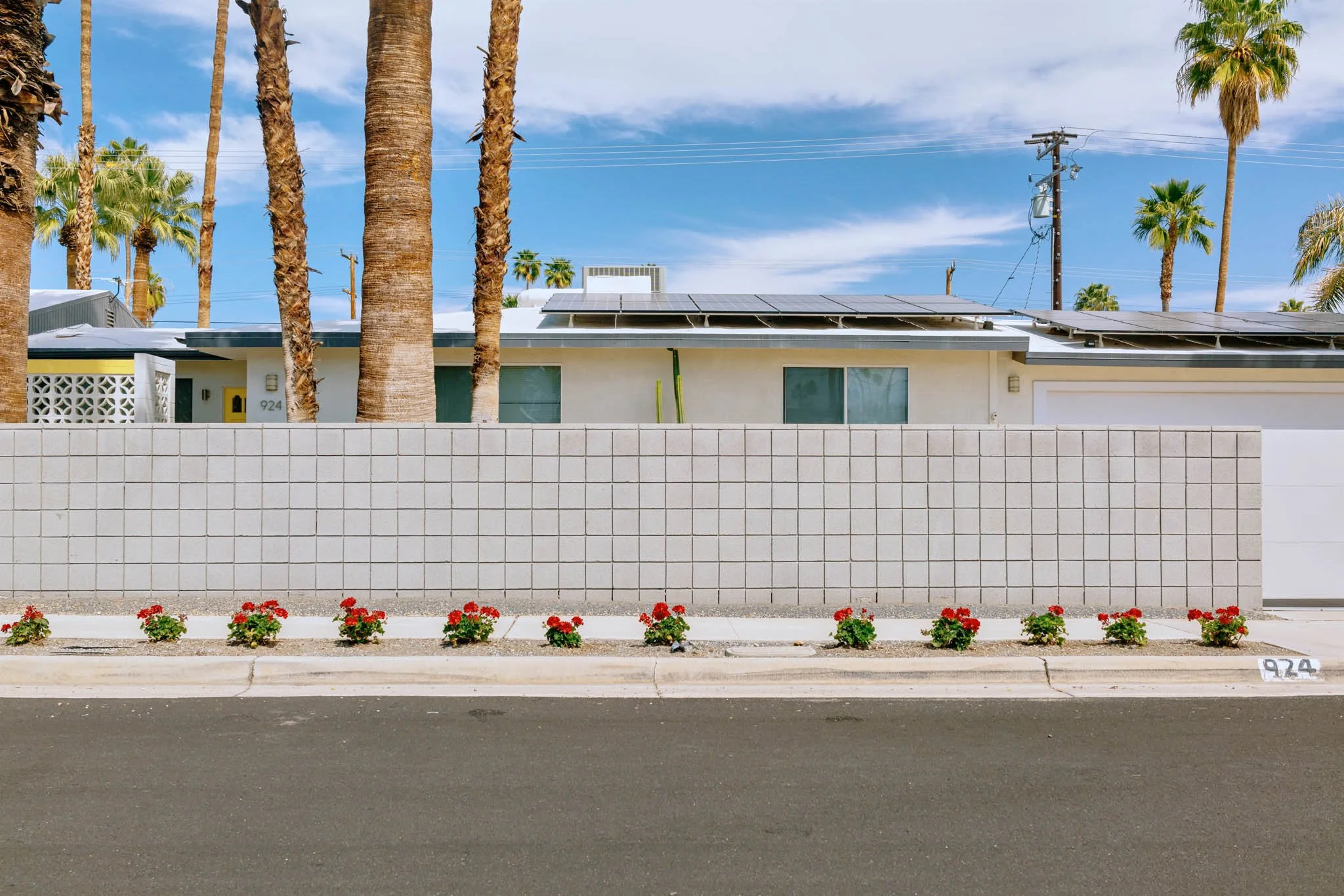 PALM_SPRINGS_TILES_RED_POT_PLANTS.jpg