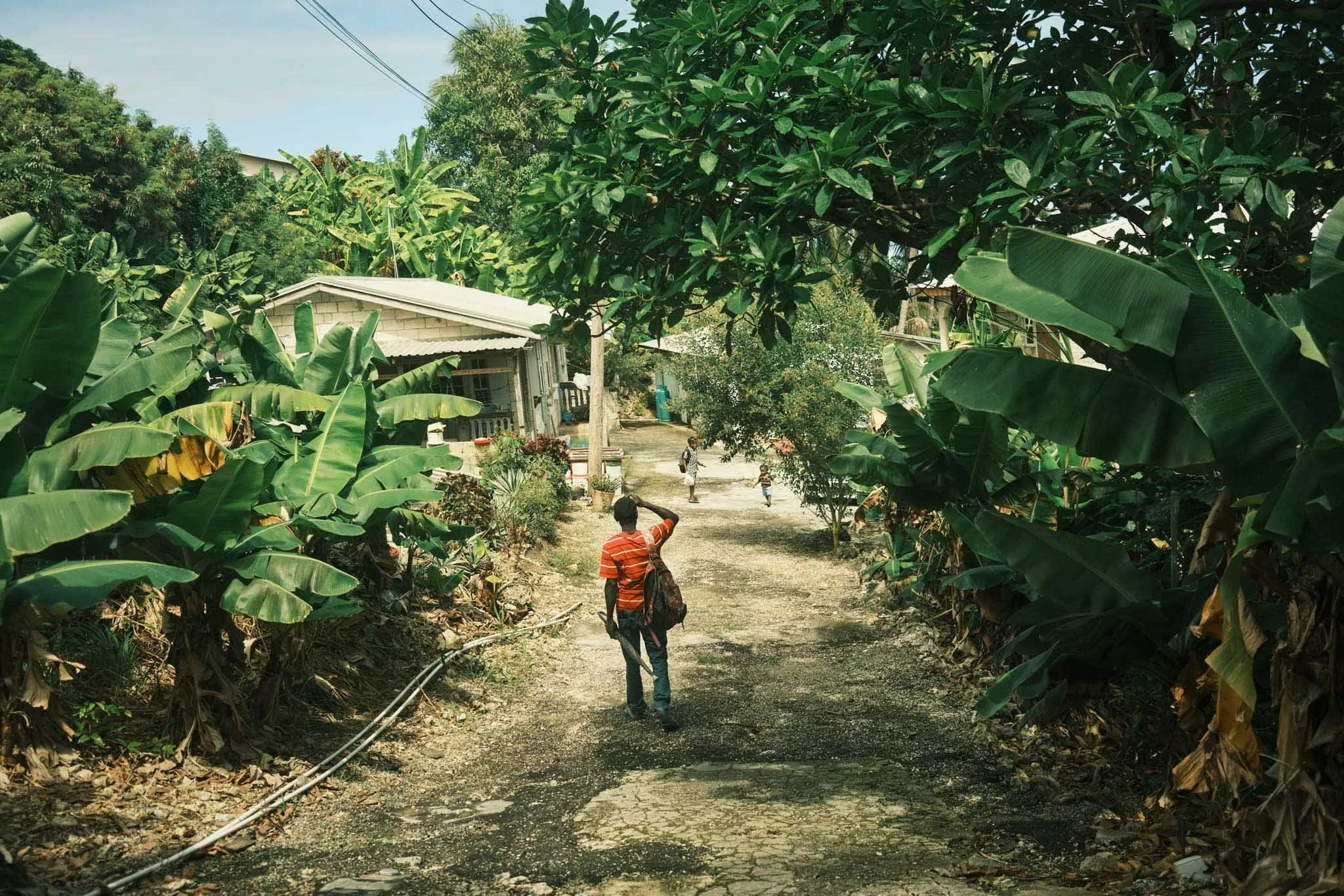 BARBADOS_LOCAL_VILLAGE_DAVID_PEXTON_PHOTOGRAPHY.jpg