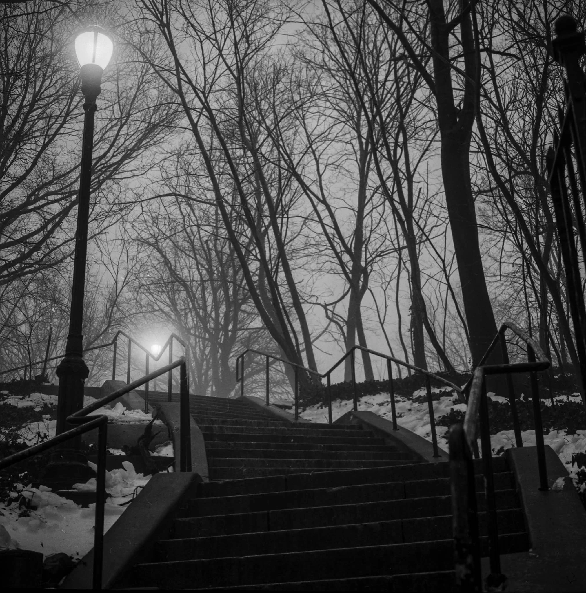 FILM_PHOTOGRAPHY_NYC_STREET_PROSPECT_PARK_STAIR_CASE_NIGHT.jpg