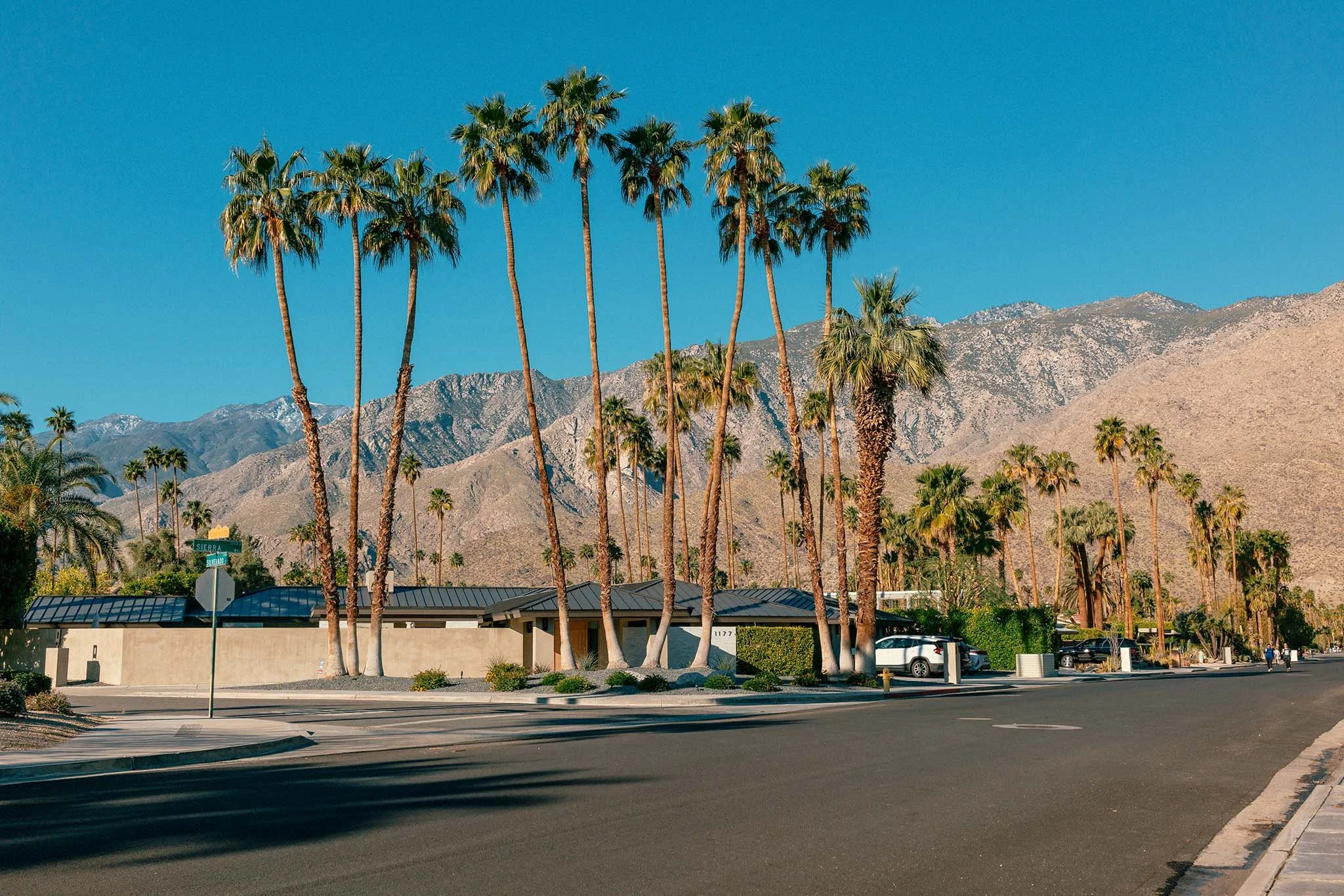 PALM_SPRINGS_TREES_CORNER.jpg