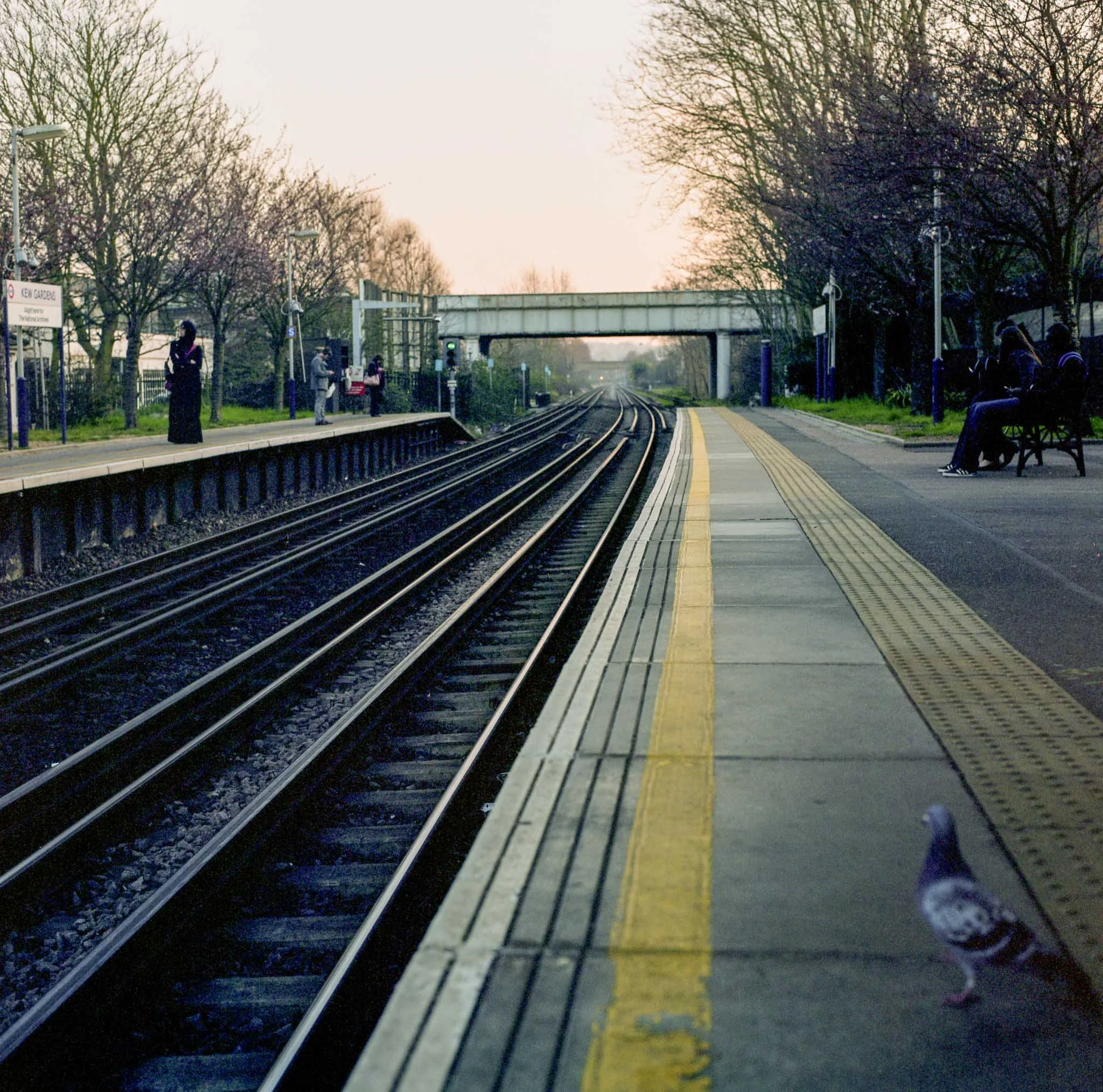 FILM_PHOTOGRAPHY_LONDON_SOUTH_TRAIN_STATION_SUNDOWN.jpg
