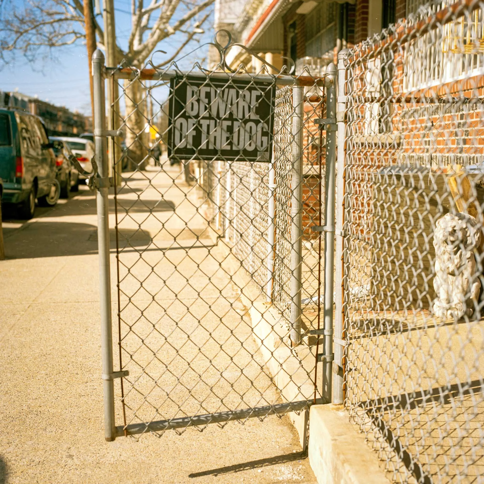 beware-of-the-dog-brooklyn-1.jpg