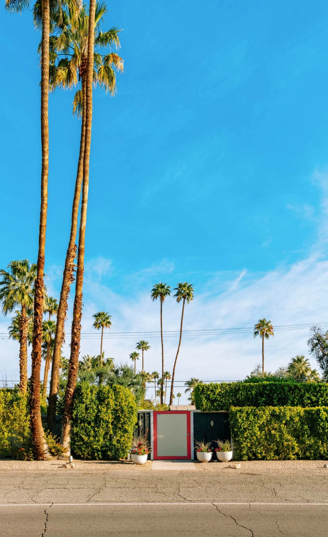 PALM_SPRINGS_RED_OUTLINED_GATE.jpg