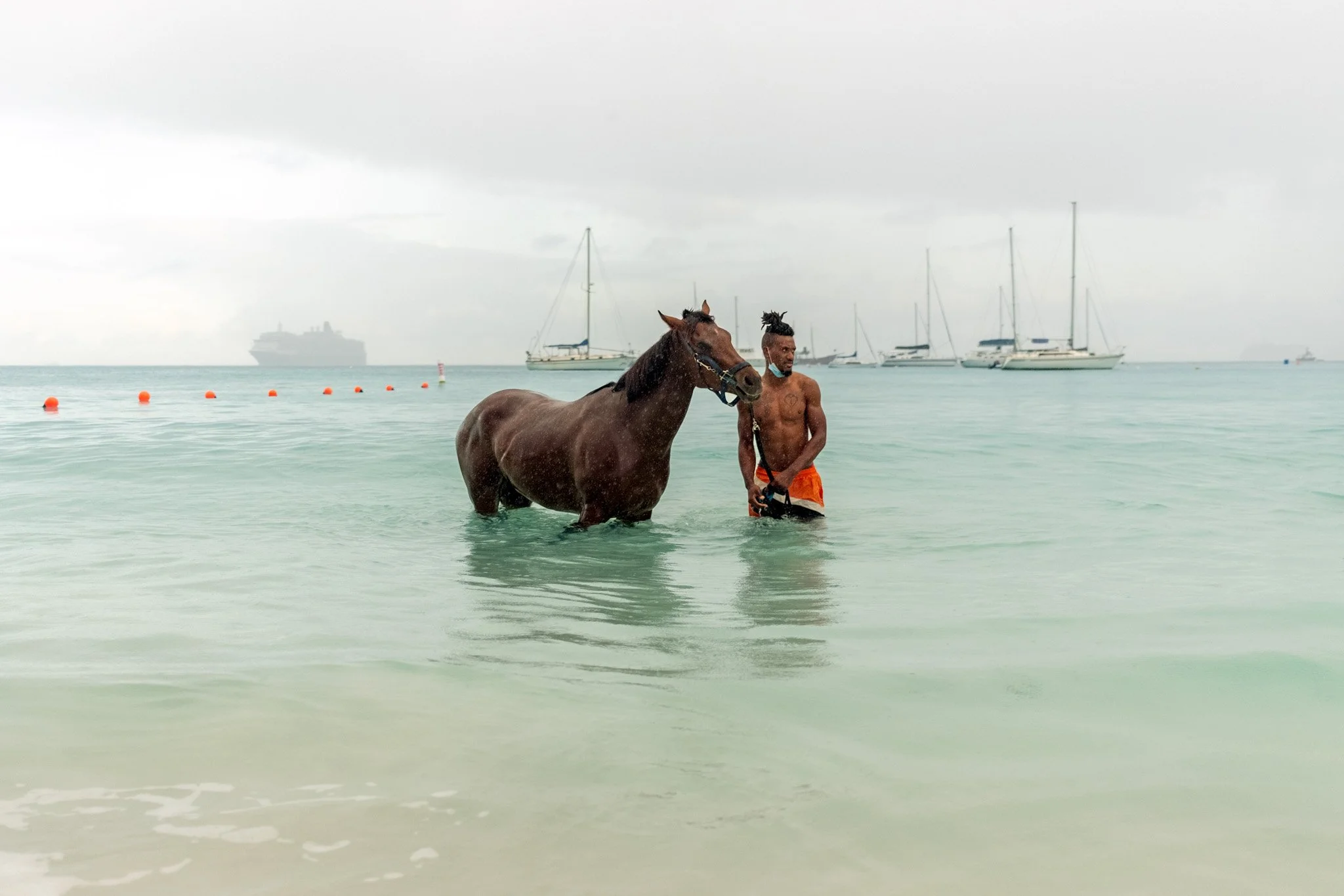 BARBADOS_BATHING_HORSES_SEA_DAVID_PEXTON_PHOTOGRAPHY.jpg