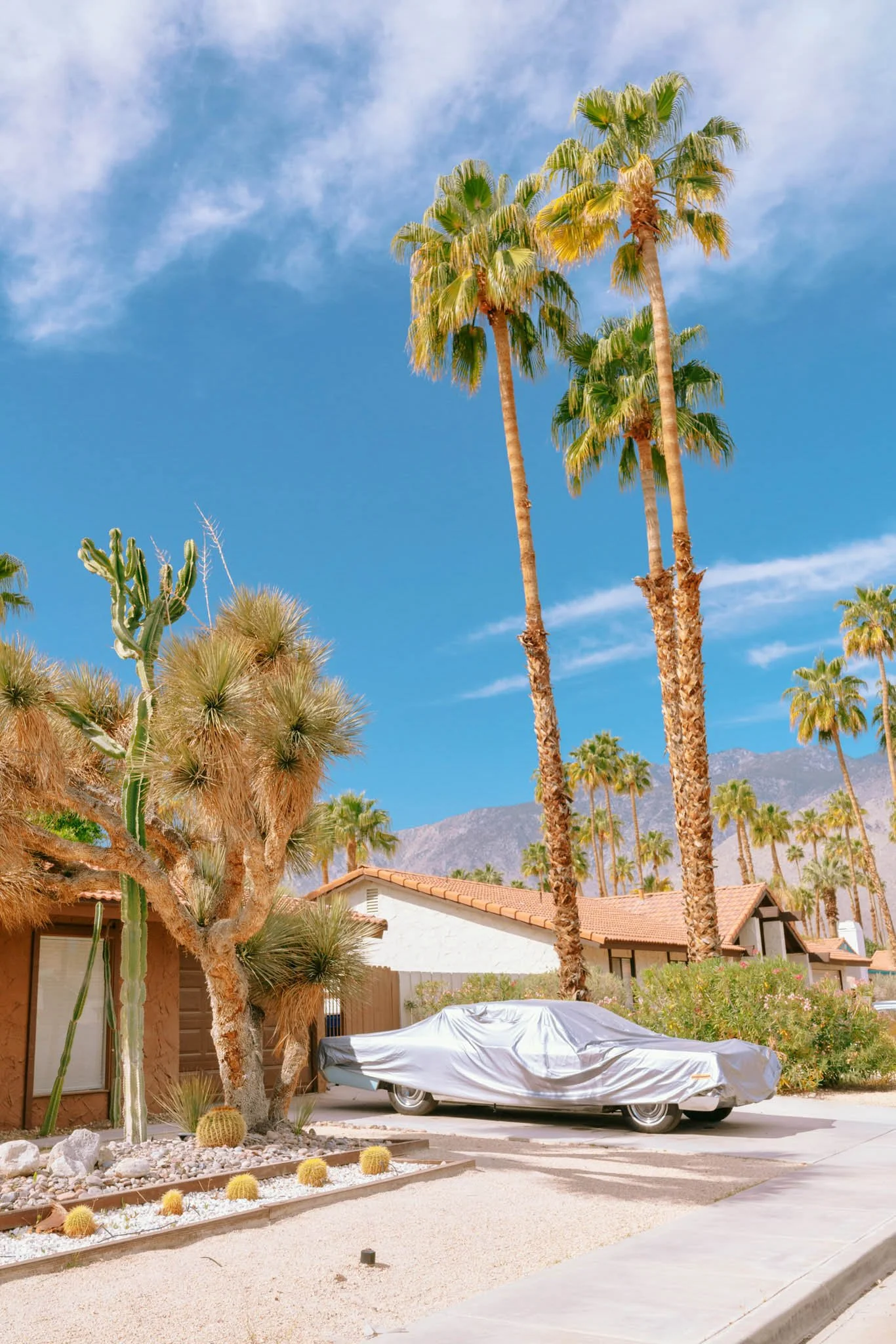 PALM_SPRINGS_COVERED_CAR.jpg