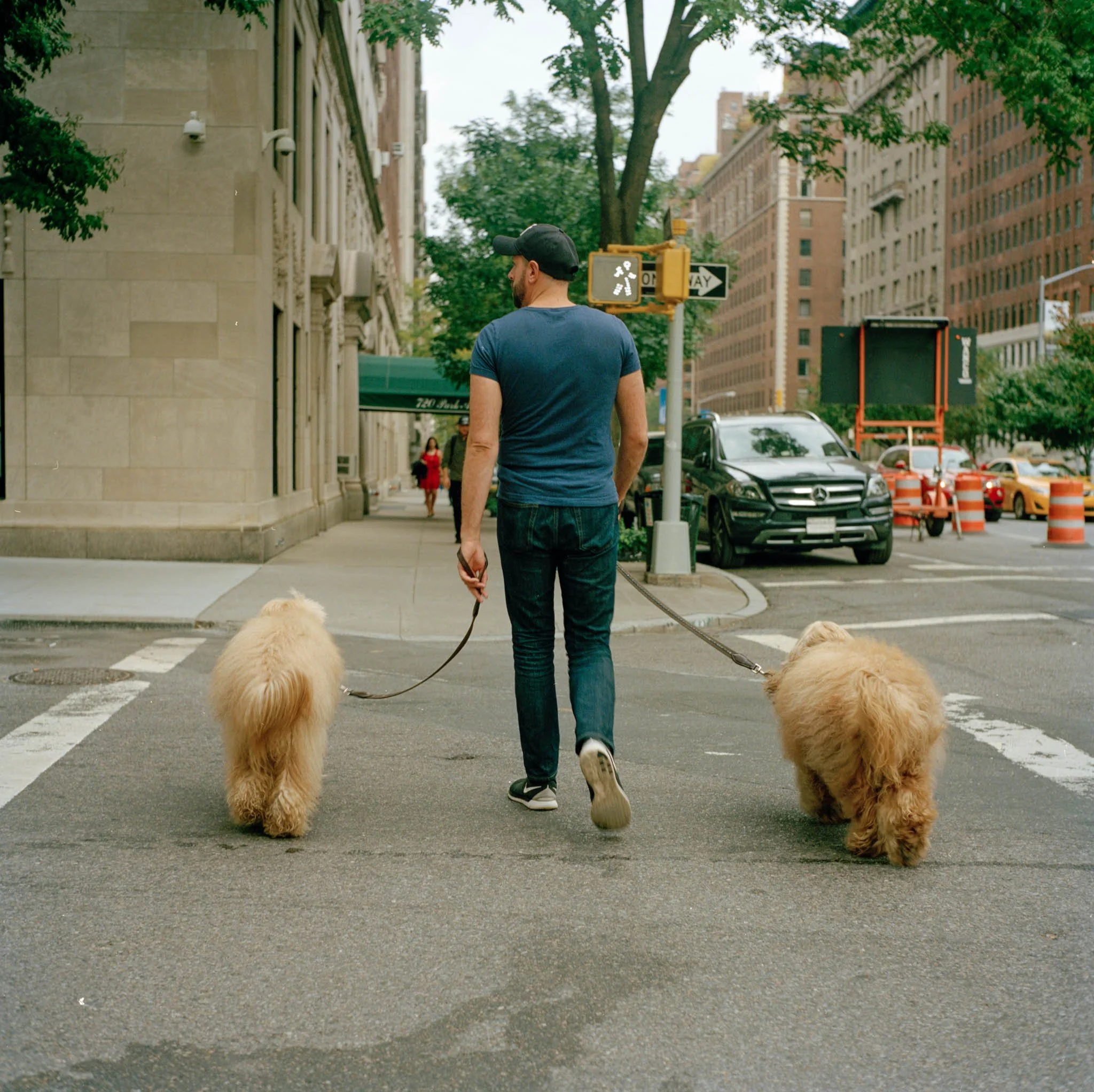 FILM_PHOTOGRAPHY_STREET_MATCHING_DOGS.jpg