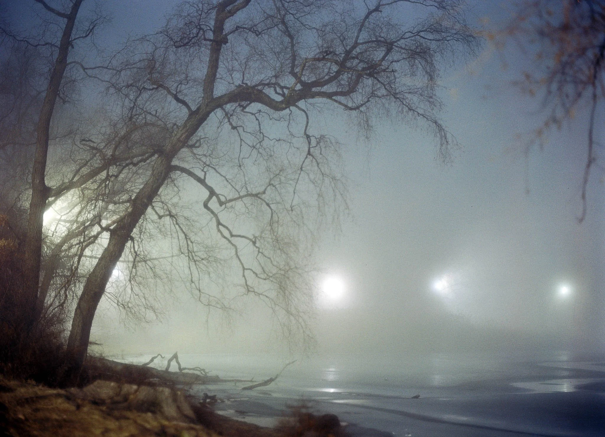 NEW_YORK_FILM_PHOTOGRAPHY_PROSPECT_PARK_AT_NIGHT_8.jpg