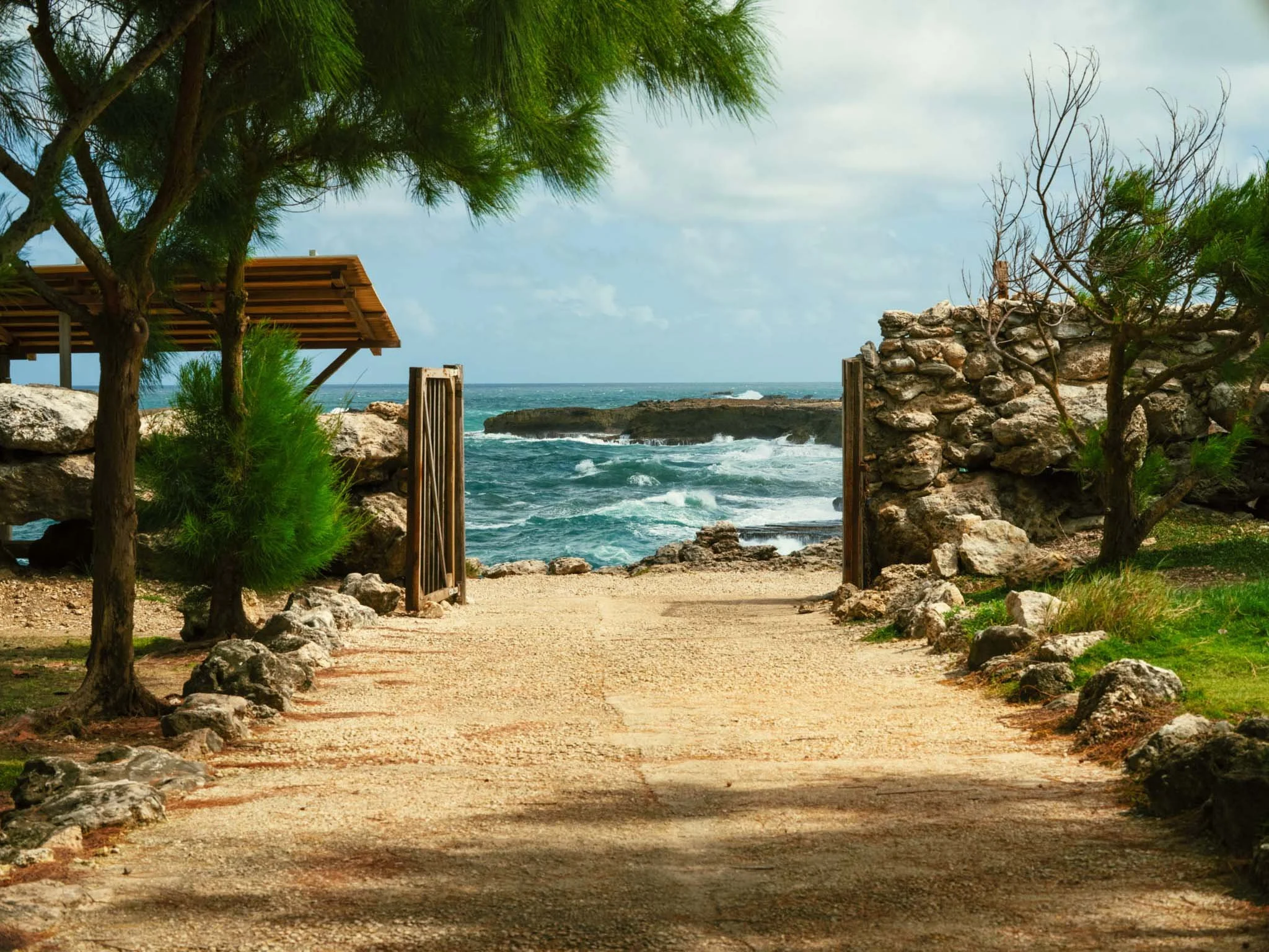 BARBADOS_FLOWER_CAVE_ENTRANCE_DAVID_PEXTON_PHOTOGRAPHY.jpg