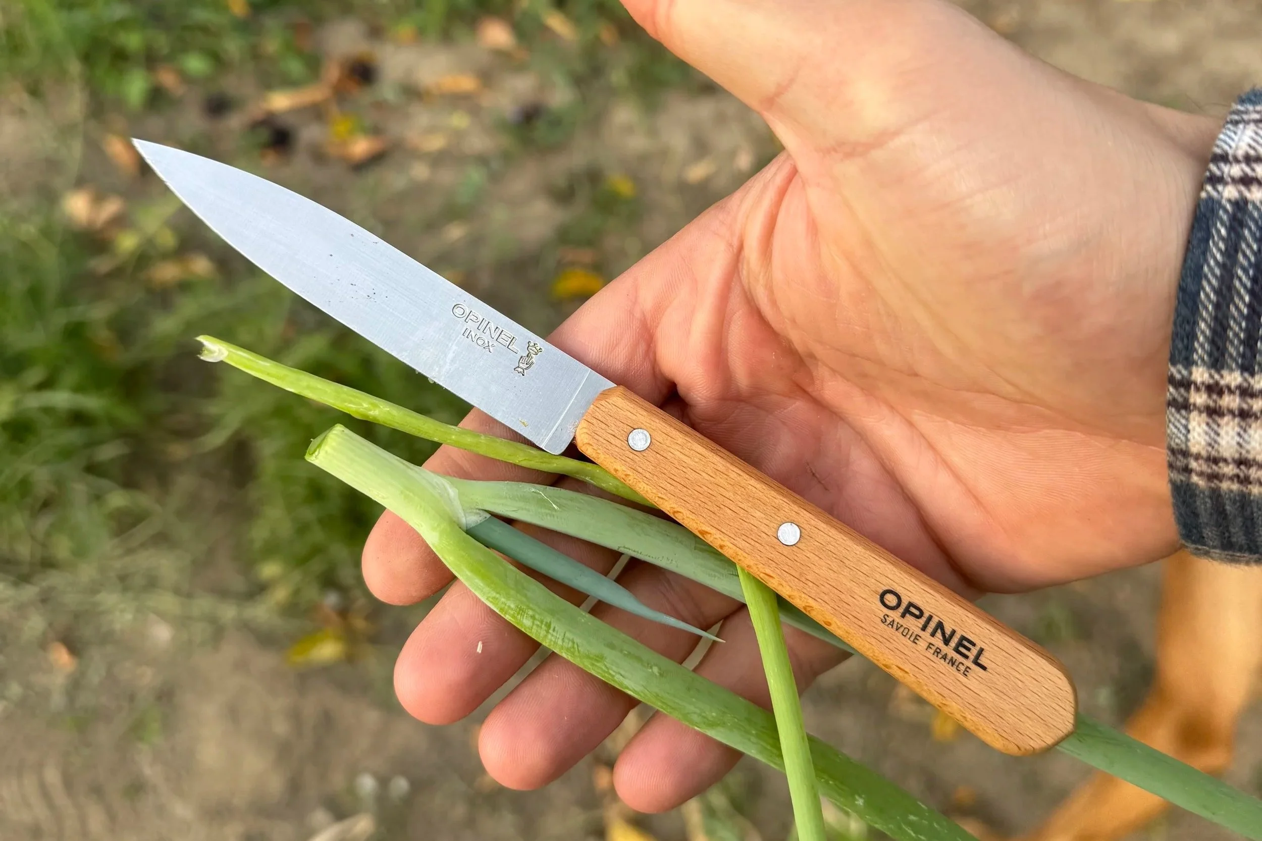 Waarom roest het aardappelmes van oma?