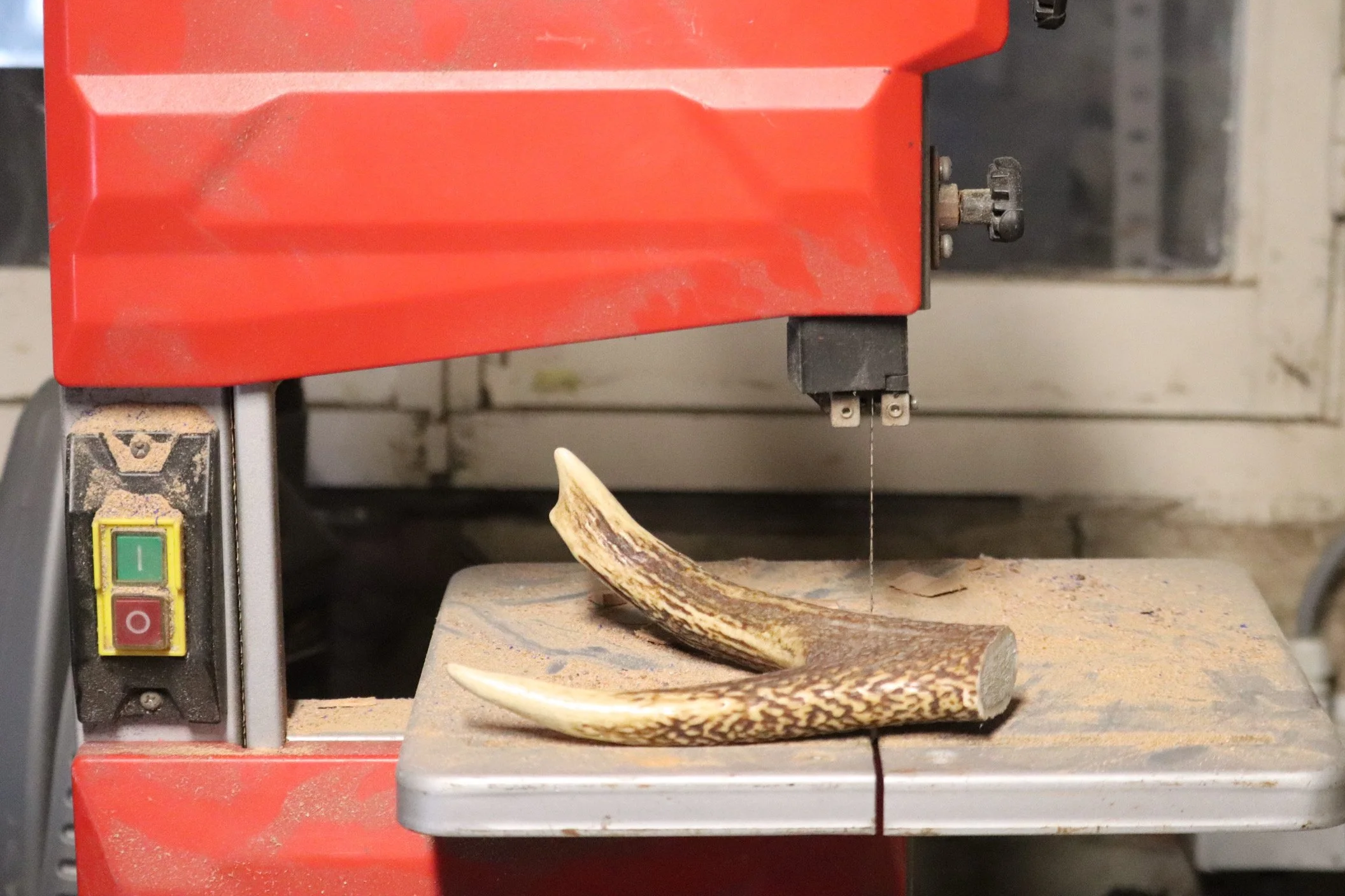 A sawmill machine with a red body cutting through a piece of antler.