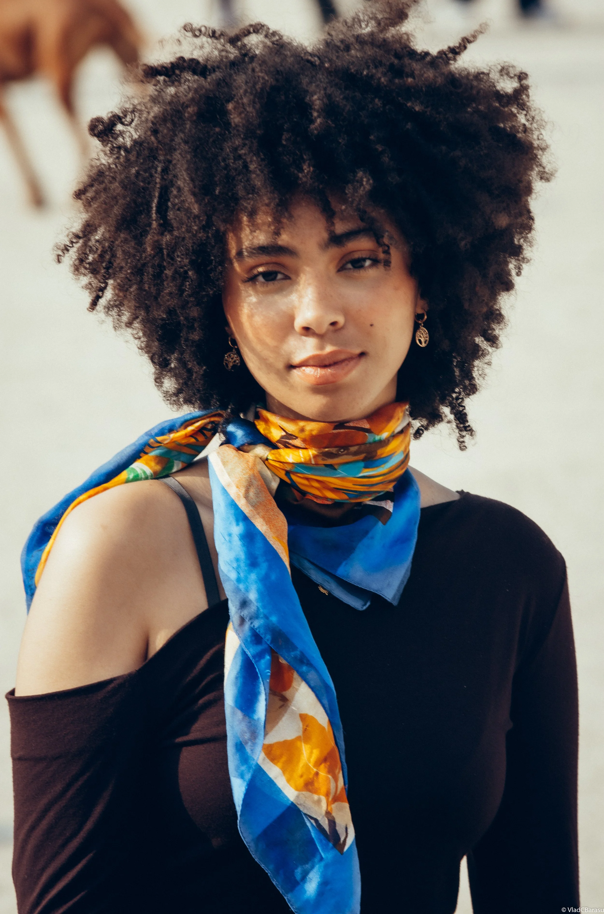 NIKON CORPORATION NIKON D7200 3966x6000_204475.jpg