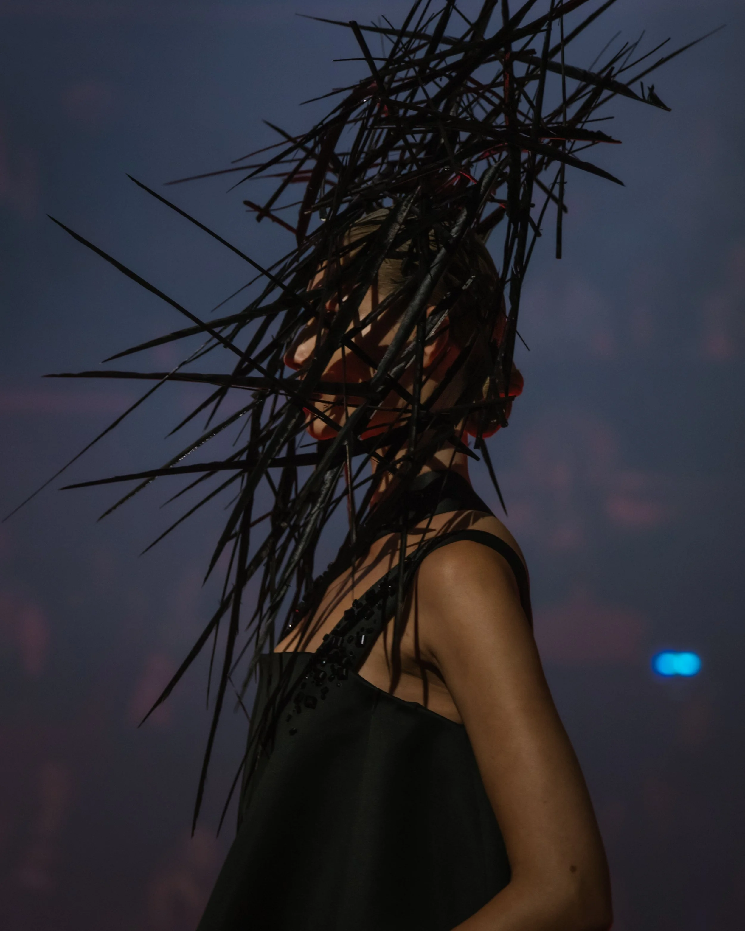 65 - Stephane Rolland.jpg