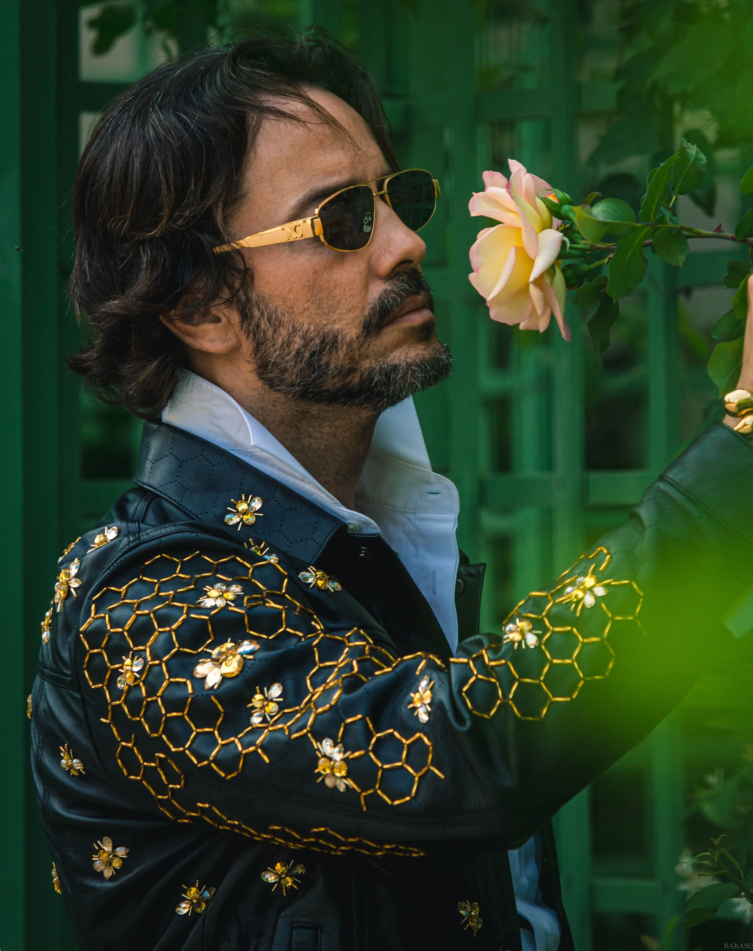 file 3579x4519_206531.jpg