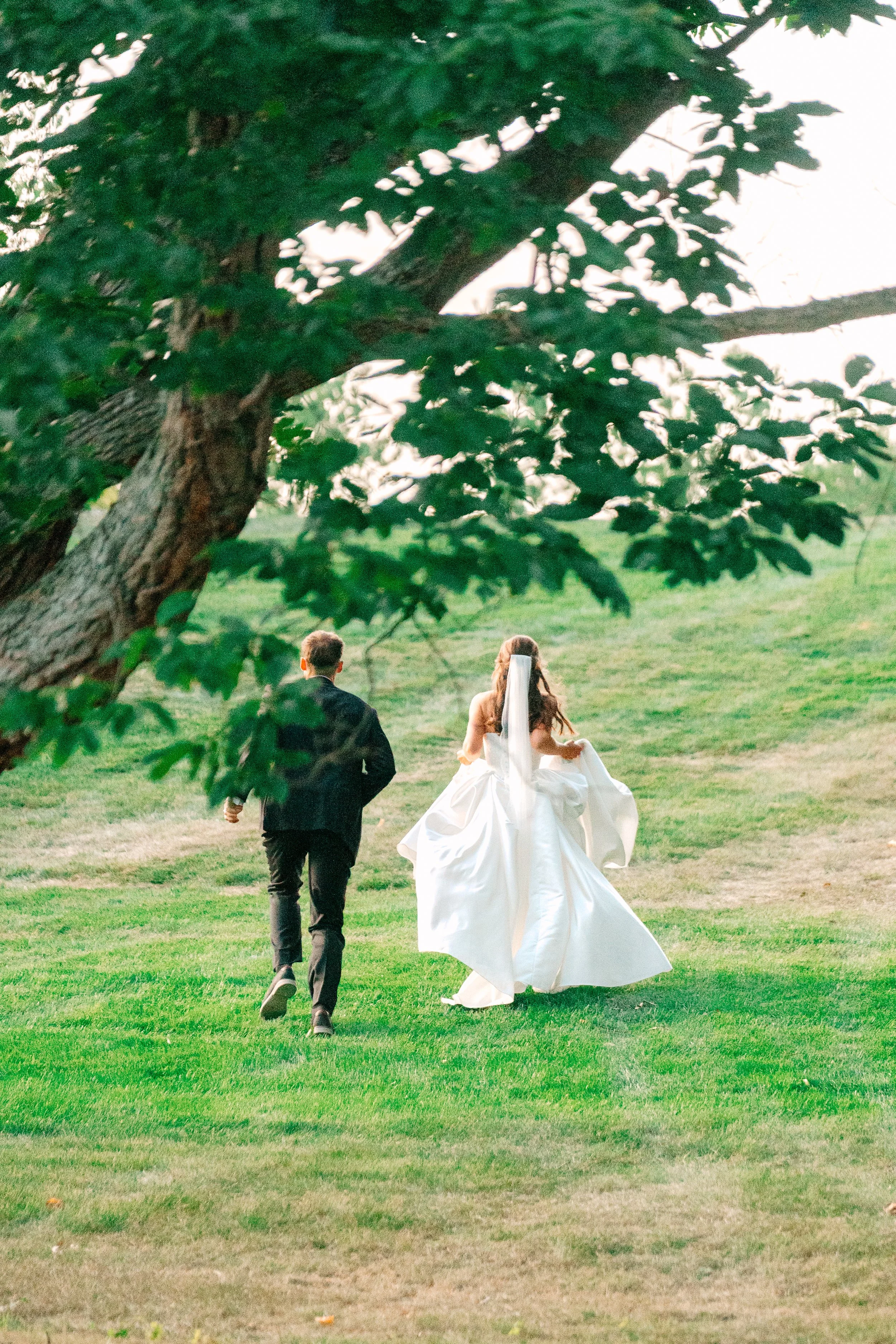 A bride and groom walking on a grassy area under a tree, with the bride wearing a white wedding gown and veil, and the groom in a black suit, viewed from behind.