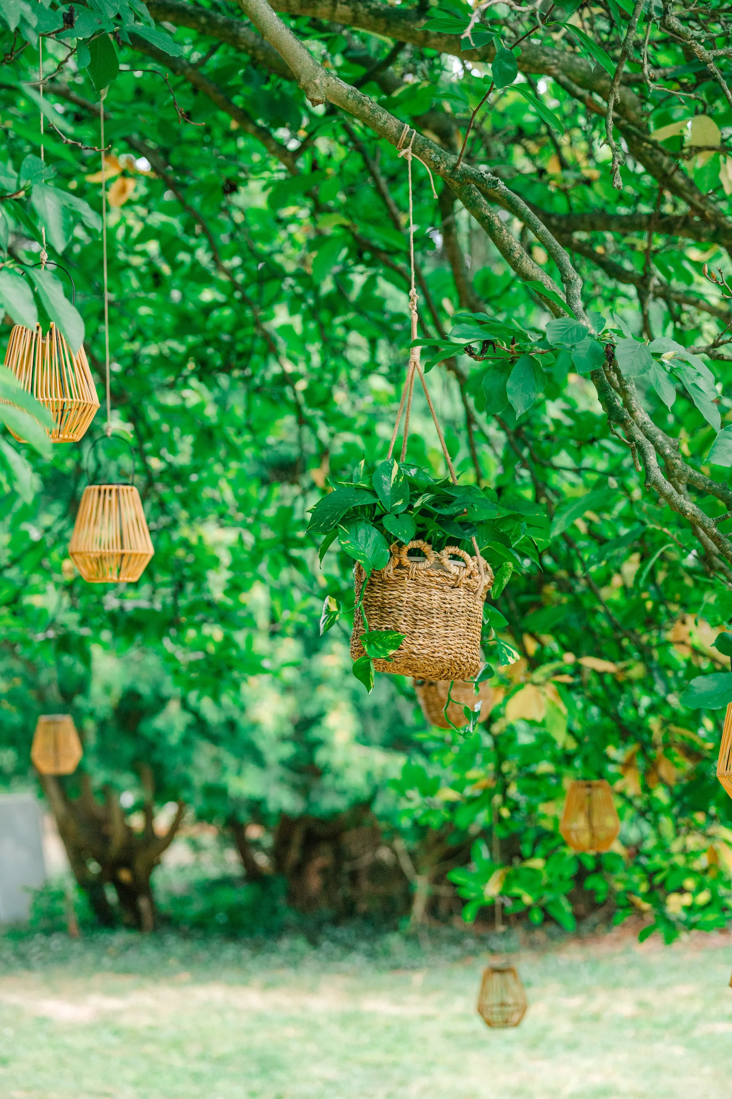 Hanging woven basket and lanterns from a tree in a garden with green foliage. Canton Ohio Wedding planner