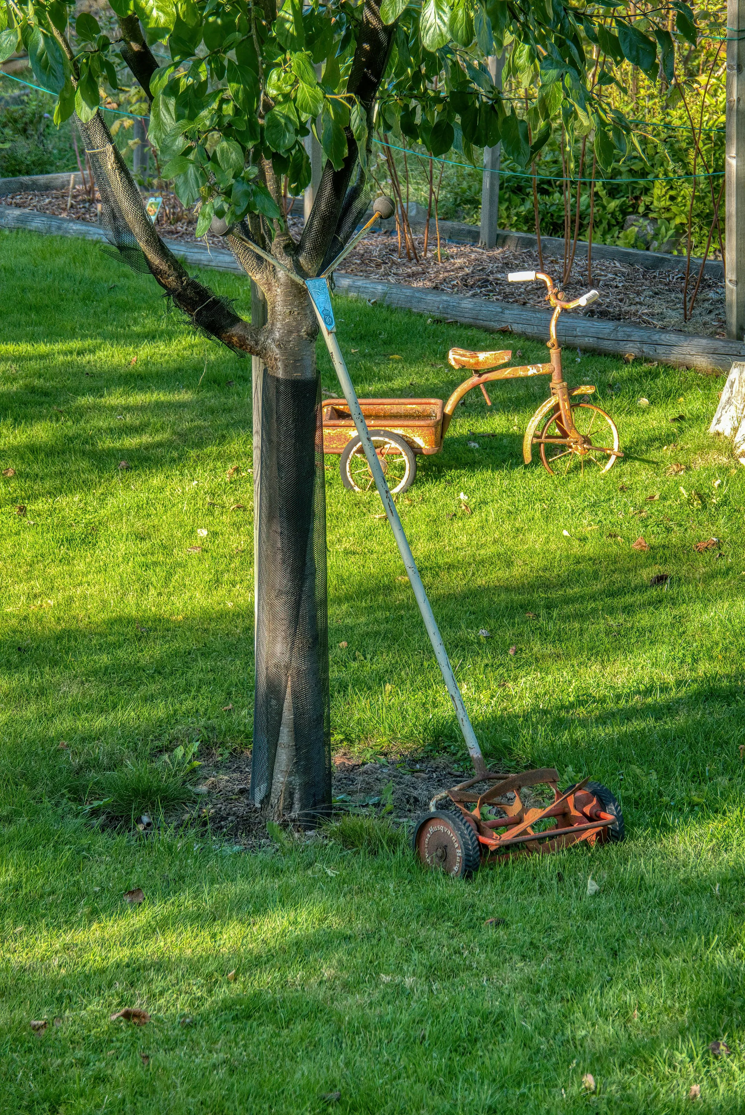 FREE Lawn Mowing Estimate