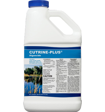 Cutrine-Plus (Liquid)