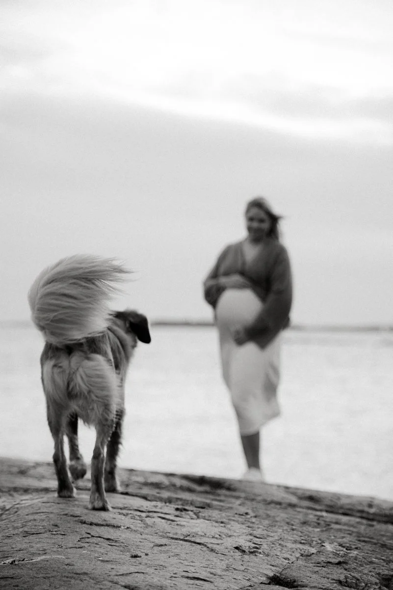 Odottava äiti ja koira harmonisessa mustavalkokuvassa. Odotuskuvaus Helsinki.