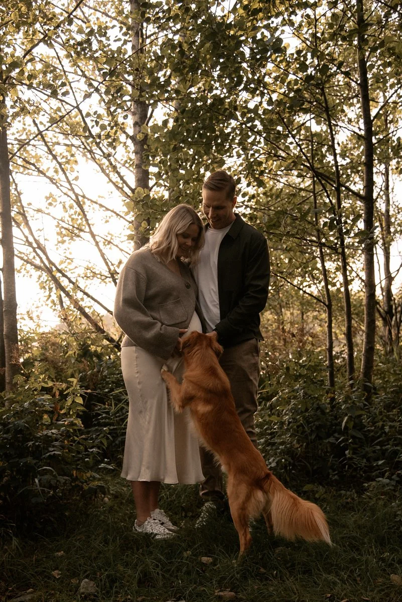 Raskaana oleva nainen, mies ja koiransa vehreässä luontomaisemassa. Odotusajan kuvaus Vantaa.