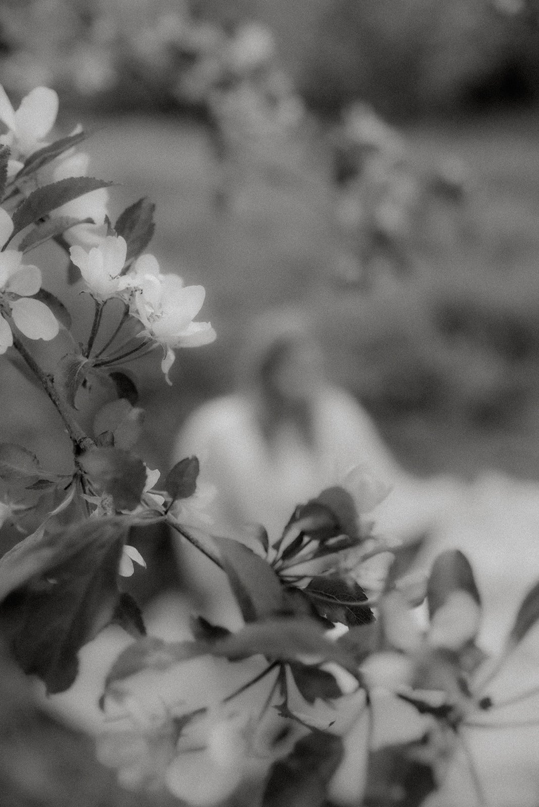 Yrityskuvaukset luonnossa.