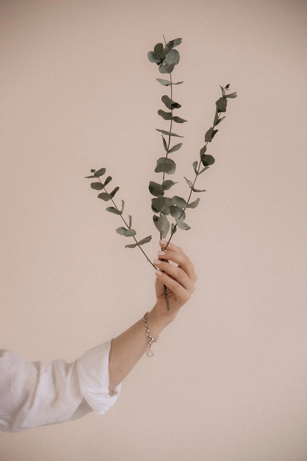 Heartiven brändikuvaus studiossa. Kuvannut yrityskuvaaja Heidi Väisänen.