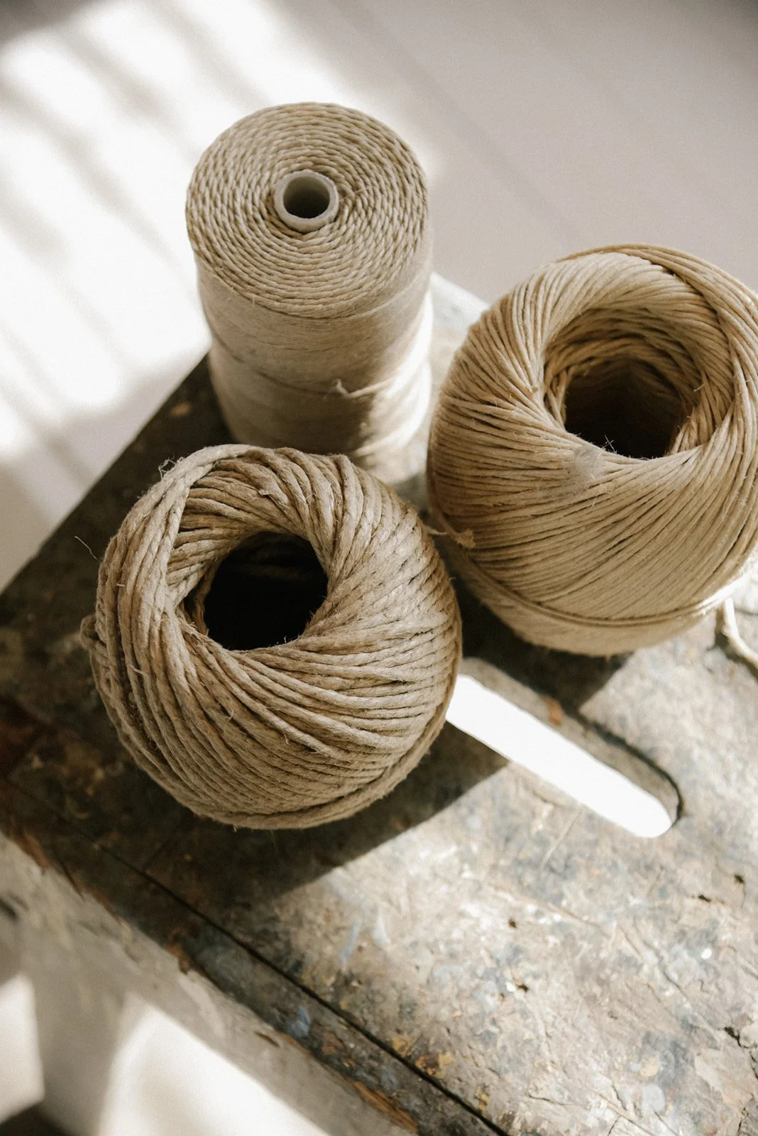 Lankakeriä kauniissa valossa.