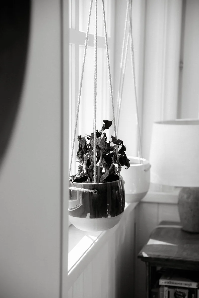 Mustavalkoinen kuva kukkaruukuista ikkunassa.