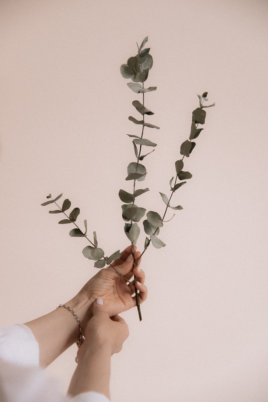 Heartiven brändikuvaus studiossa. Yrittäjän kädessä eukalyptuksen oksia. Kuvannut yrityskuvaaja Heidi Väisänen.