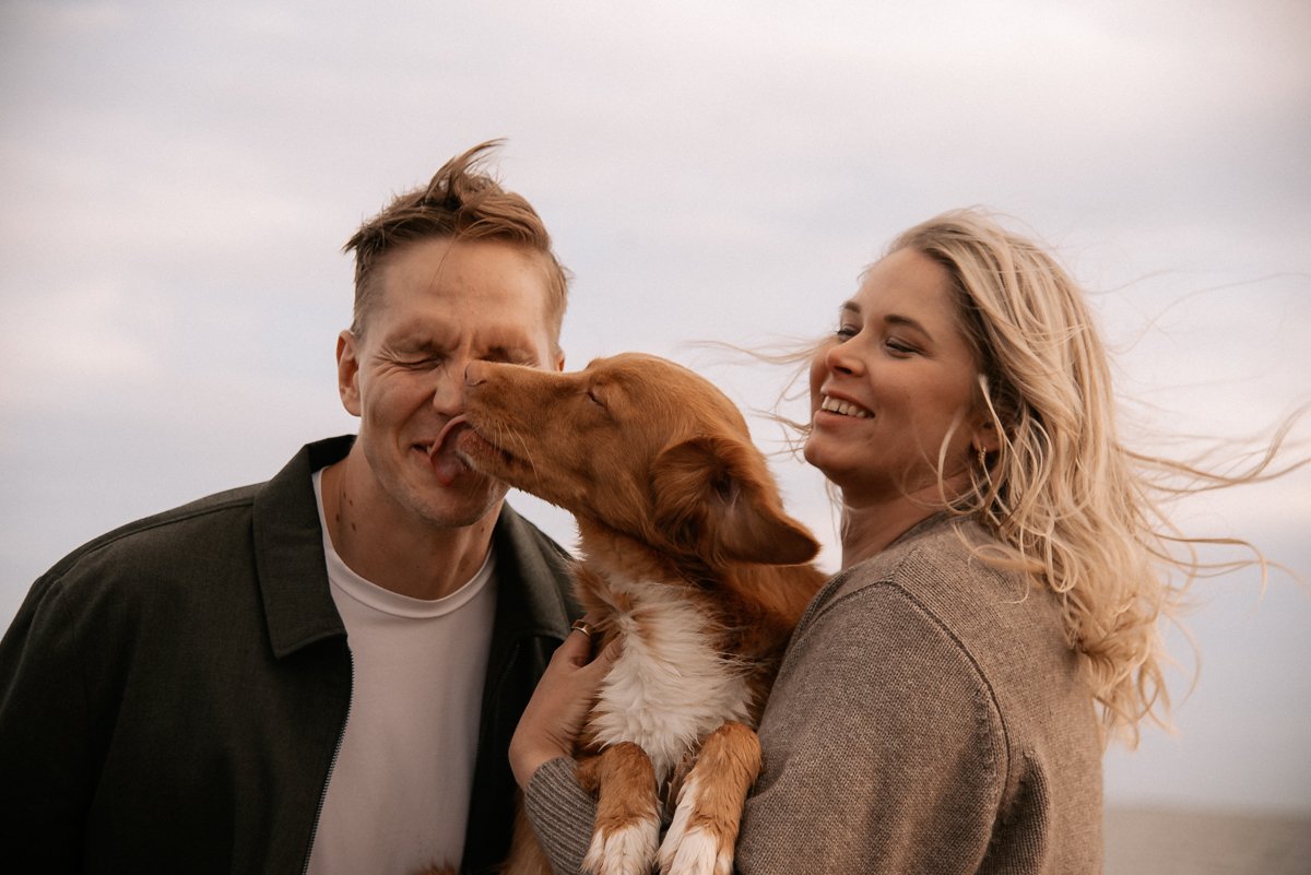 Koira nuolee lasta odottavien vanhempien kasvoja.