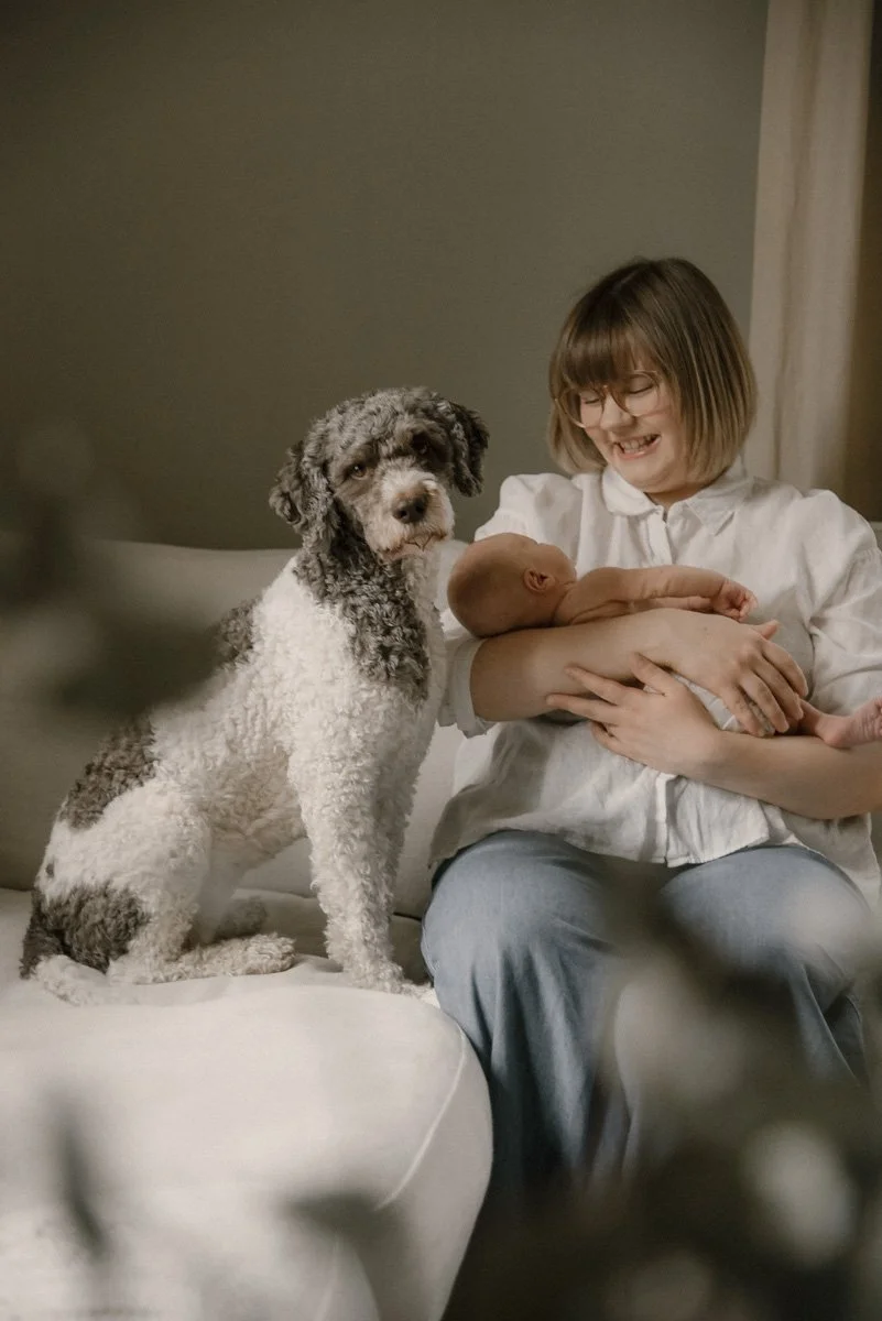 Koira, äiti ja vastasyntynyt sohvalla. Perhekuvaus kotona, kuvannut valokuvaaja Heidi Väisänen.