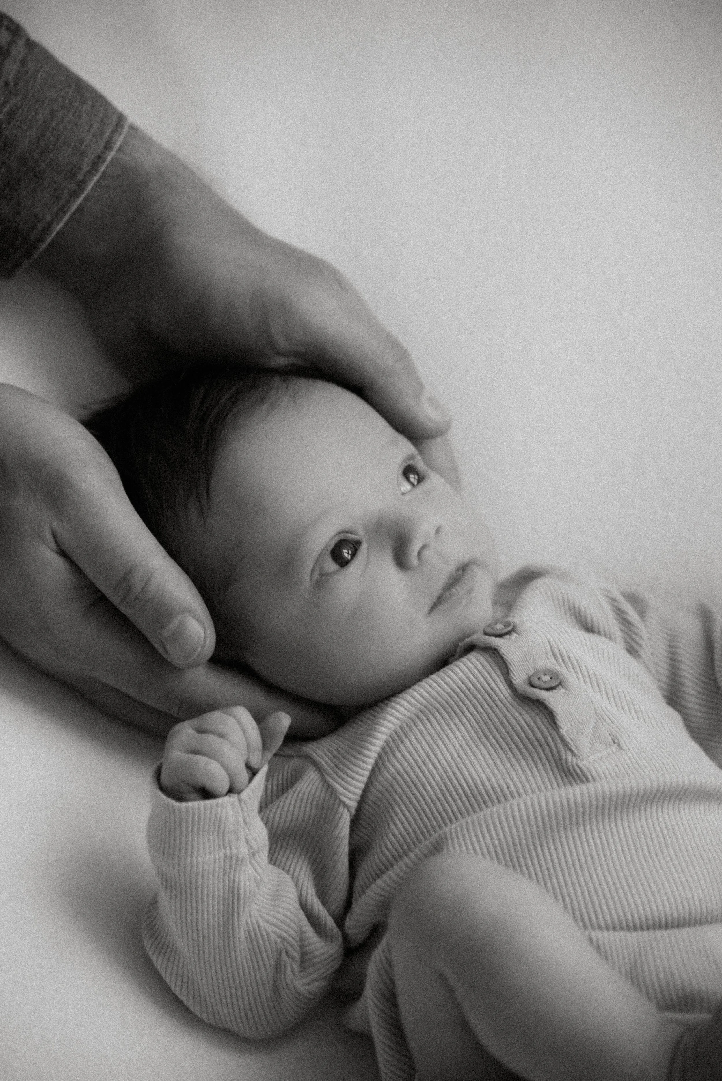 Pienen lapsen pää vanhemman kämmenien välissä. Vastasyntyneen kuvaus studiolla Keravan Saviossa.