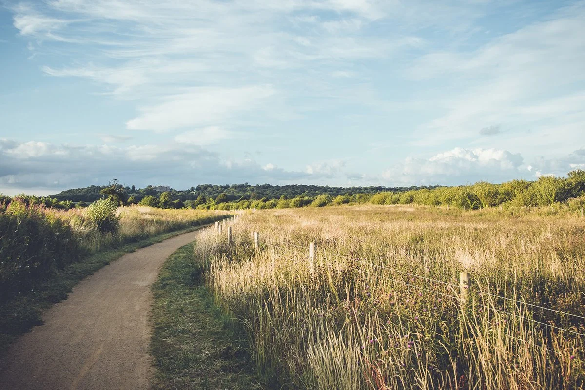 Almanac of Investing