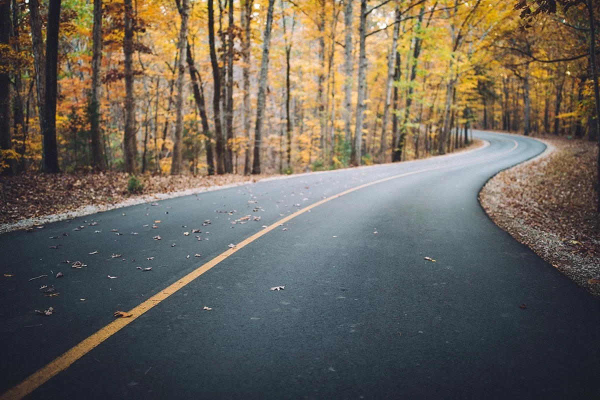 Journeying Down the Disinflation Road