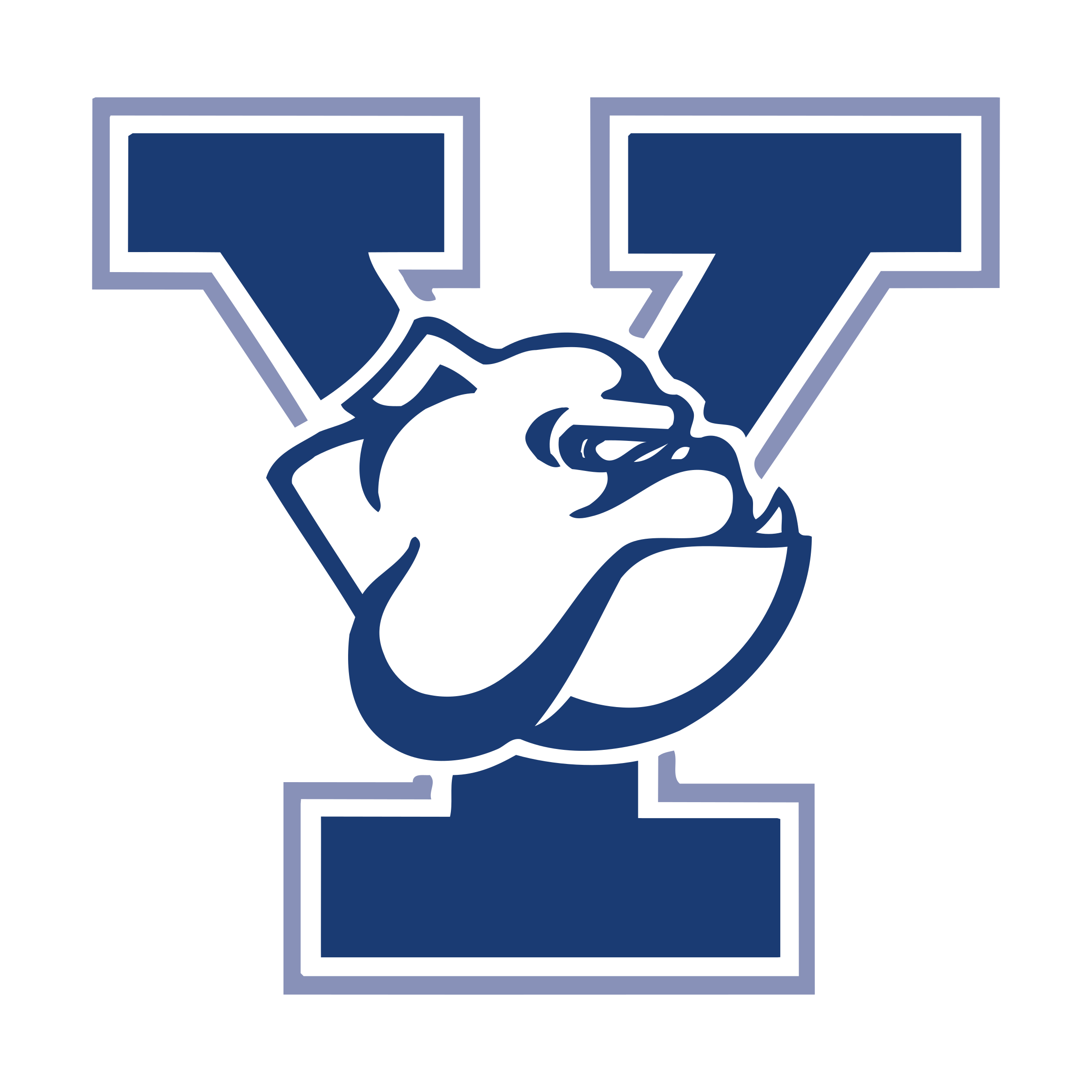 Logo of Yale University featuring a navy blue uppercase Y with a white bulldog mascot in front.