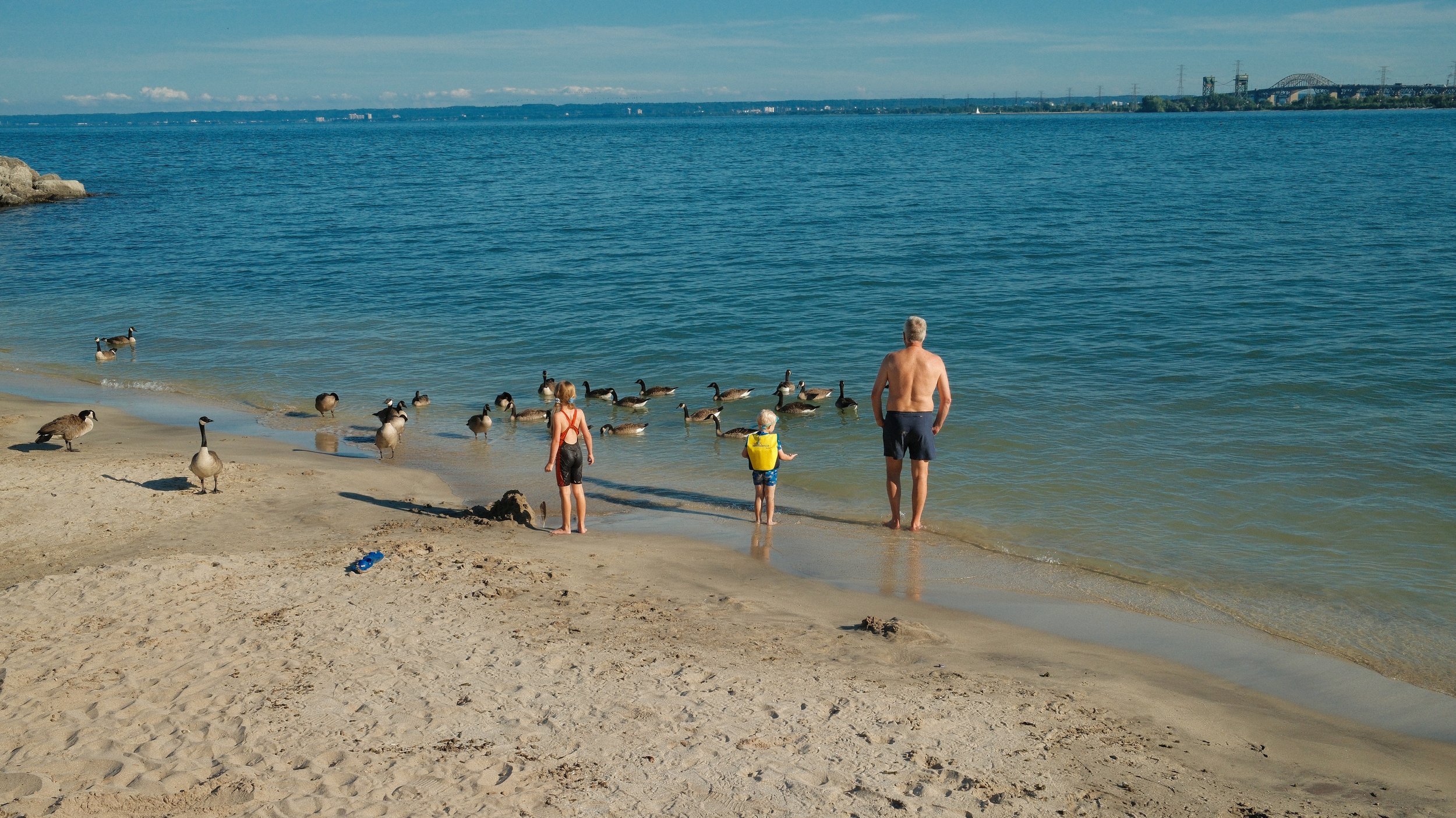 DSCF6739.jpg